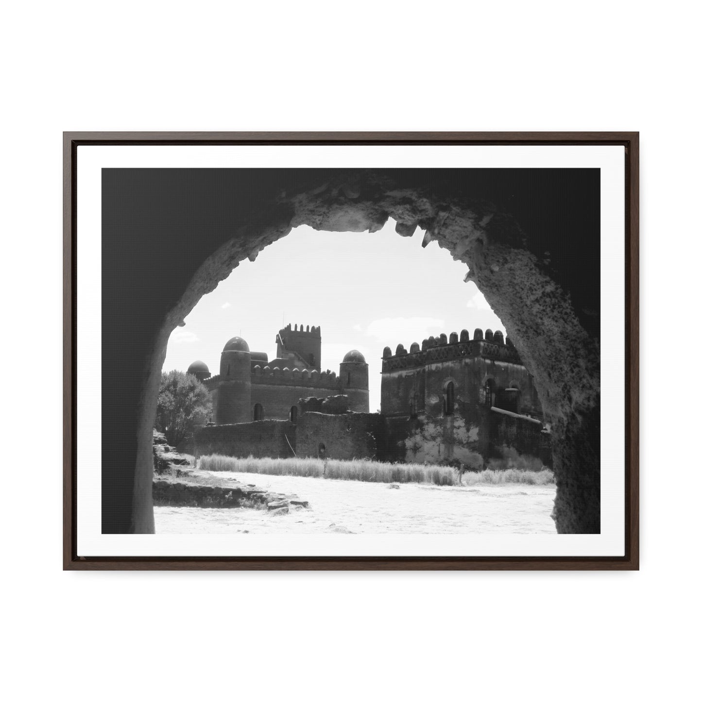 Through the Lion's Jaws - Framed Canvas Photography b&w