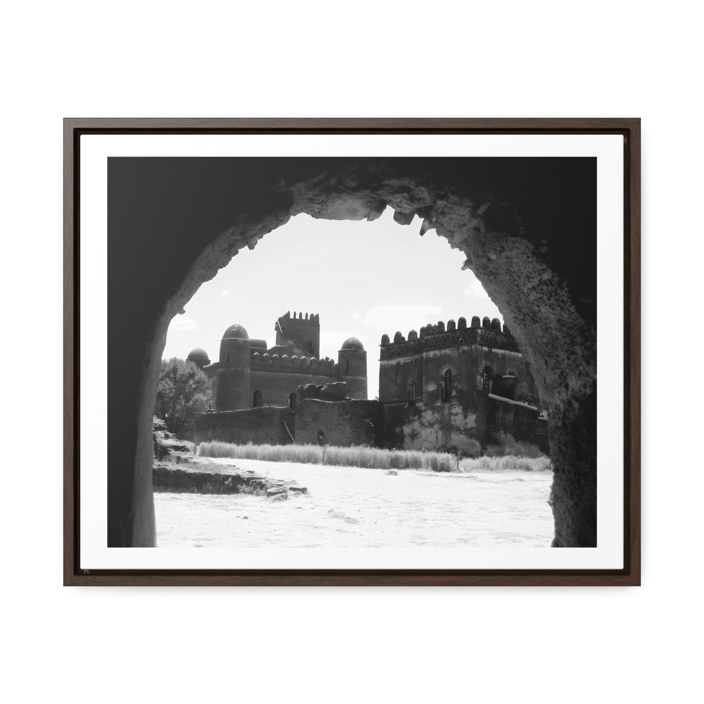 Through the Lion's Jaws - Framed Canvas Photography b&w