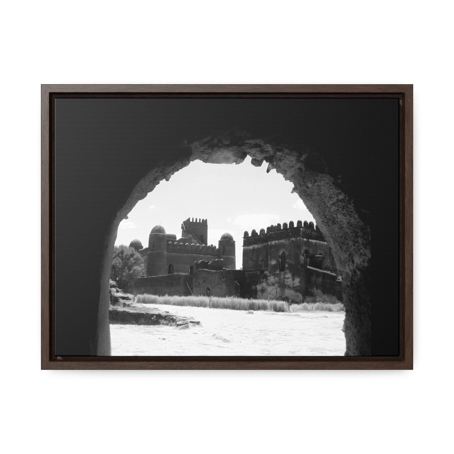 Through the Lion's Jaws - Framed Canvas Photography b&w