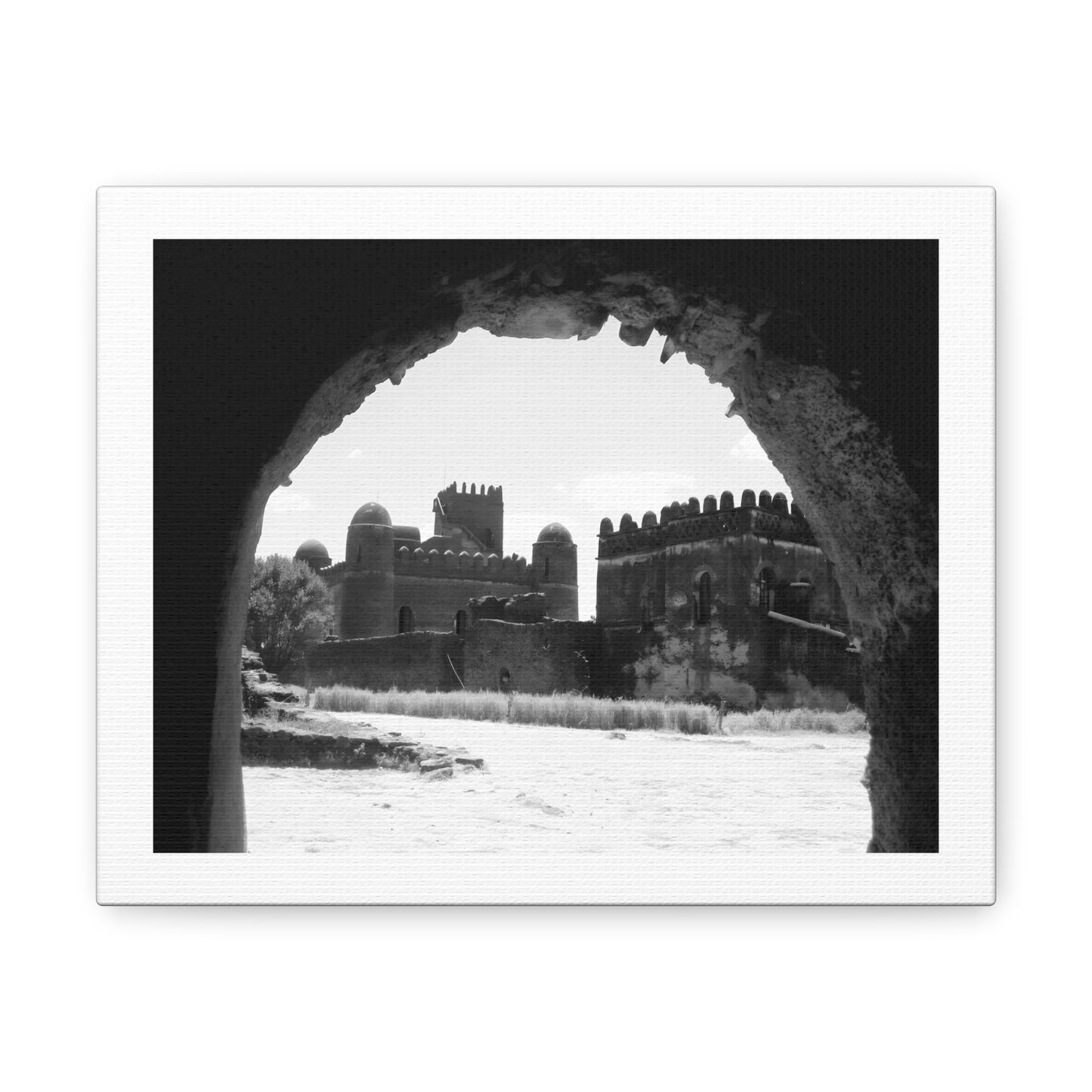 Through the Lion's Jaws - Canvas Photography b&w