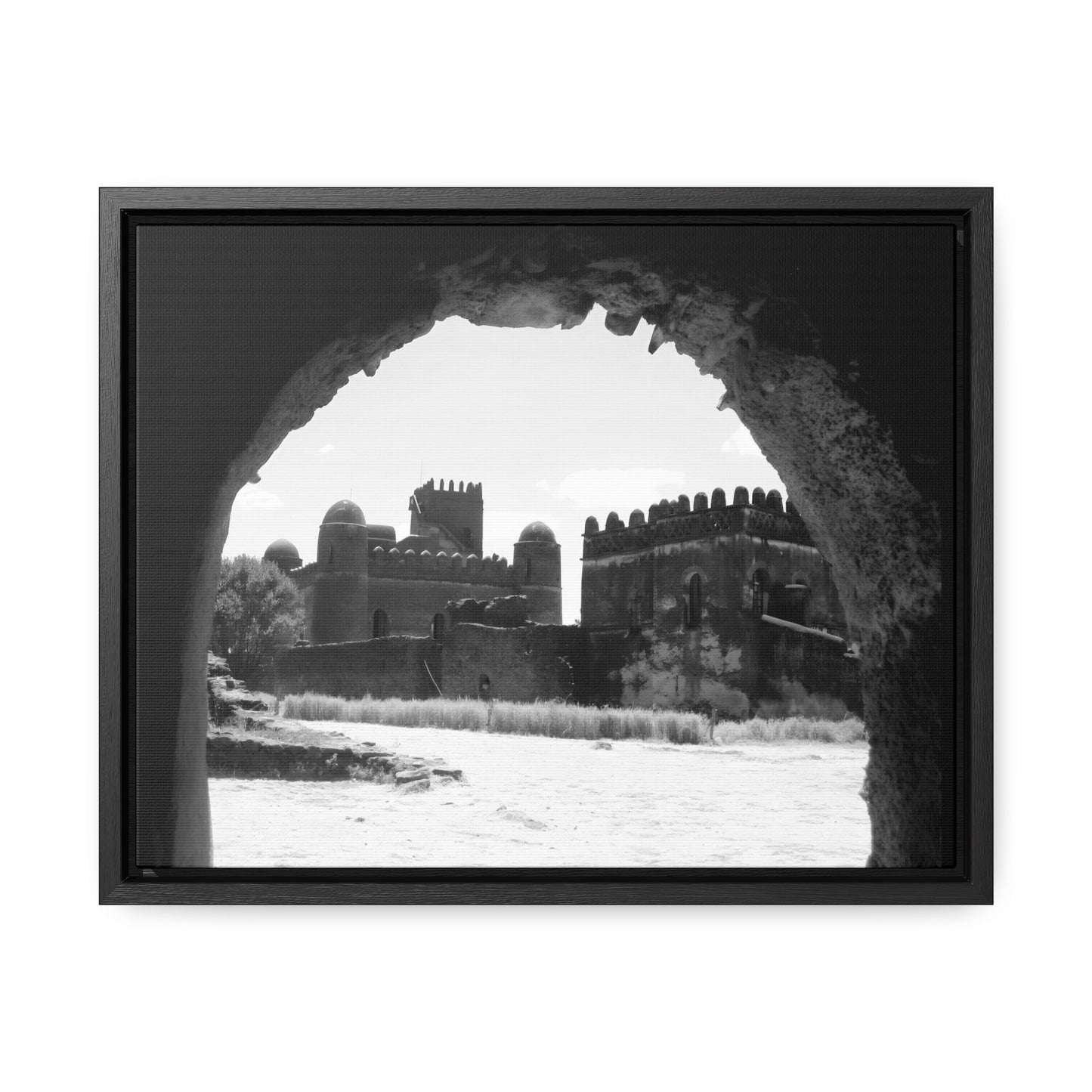 Through the Lion's Jaws - Framed Canvas Photography b&w
