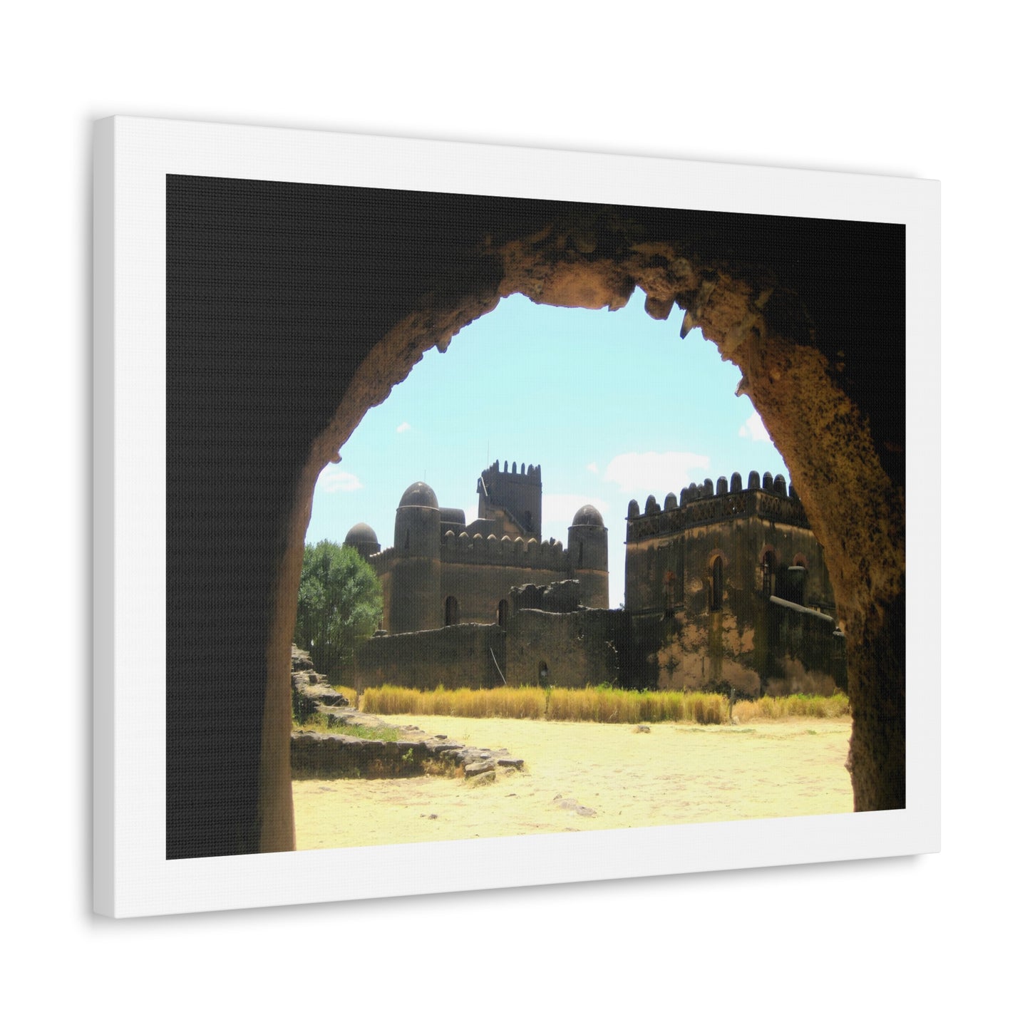 Through the Lion's Jaws - Canvas Photography
