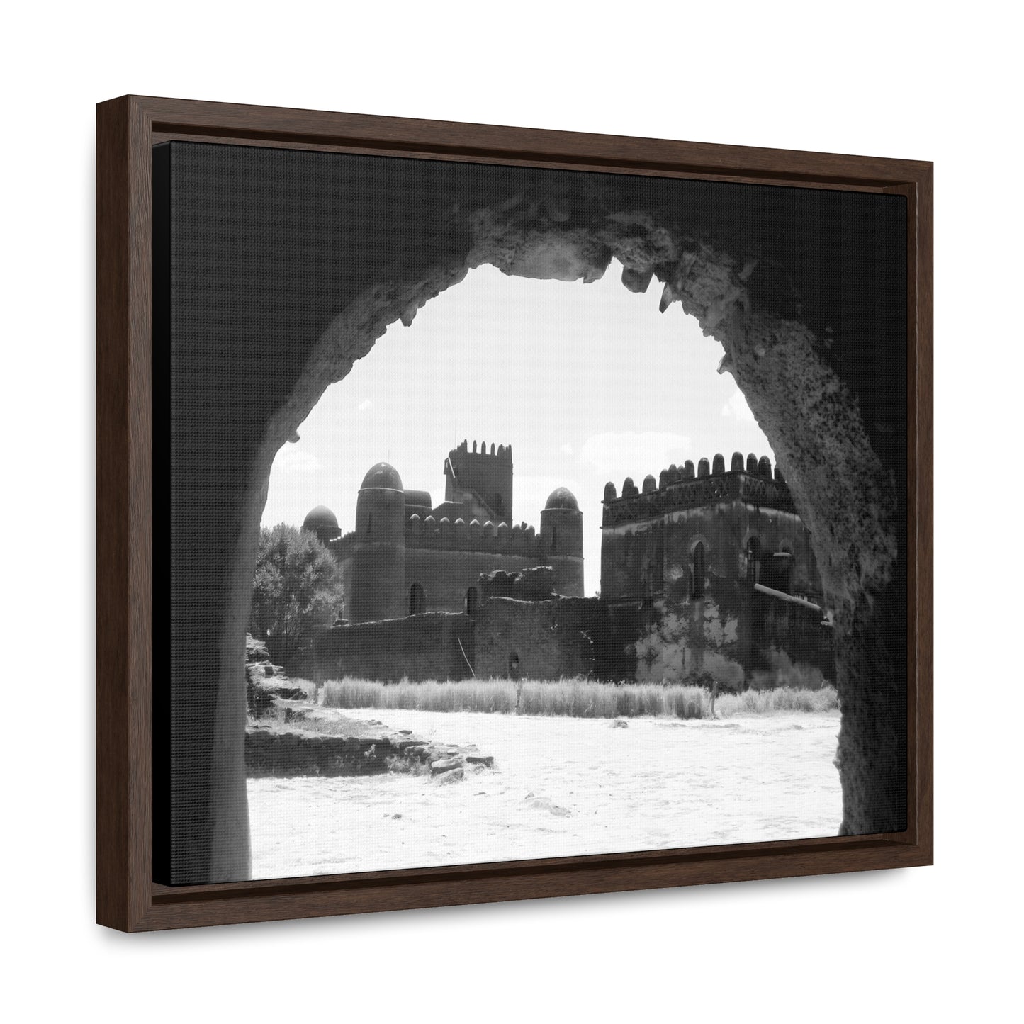 Through the Lion's Jaws - Framed Canvas Photography b&w