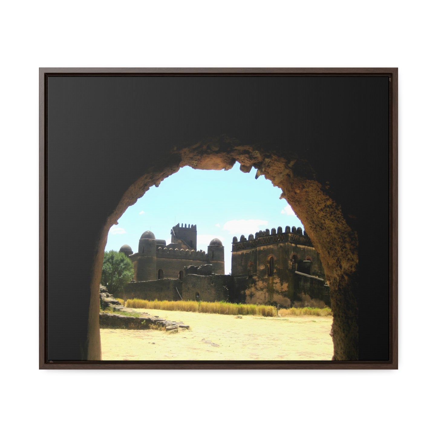 Through the Lion's Jaws - Framed Canvas Photography