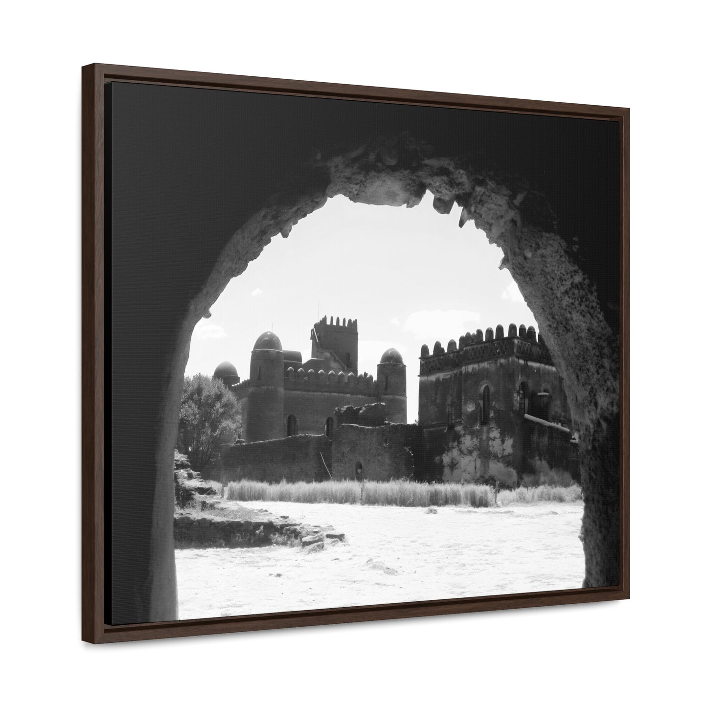 Through the Lion's Jaws - Framed Canvas Photography b&w