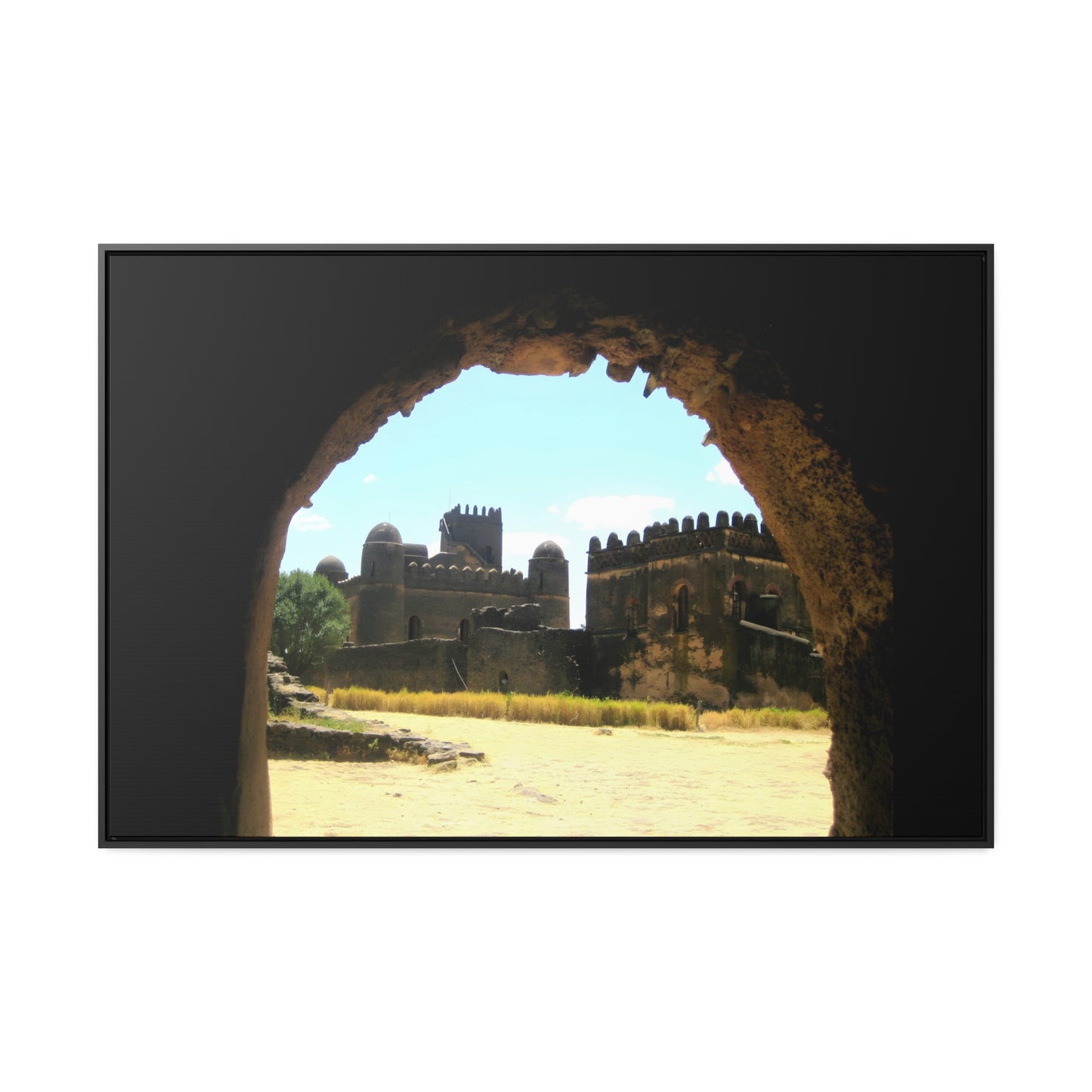 Through the Lion's Jaws - Framed Canvas Photography
