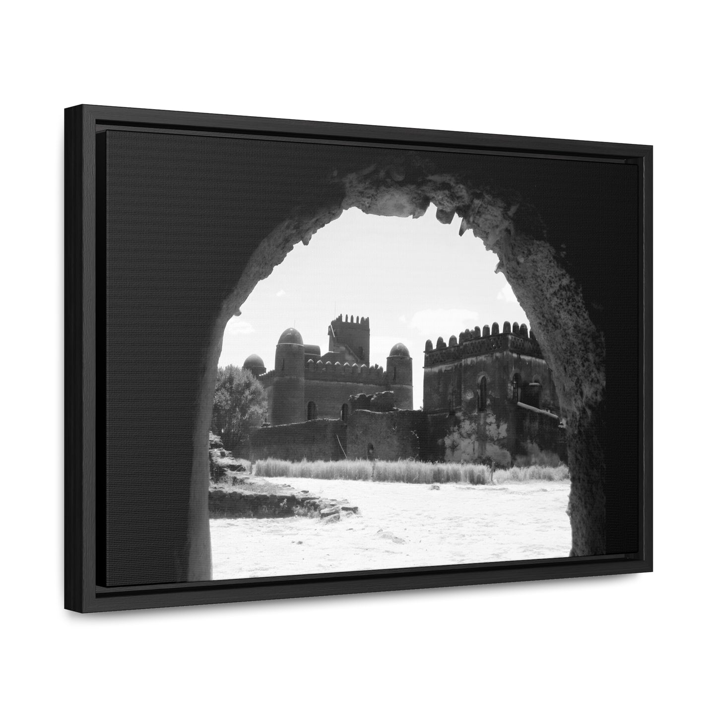Through the Lion's Jaws - Framed Canvas Photography b&w