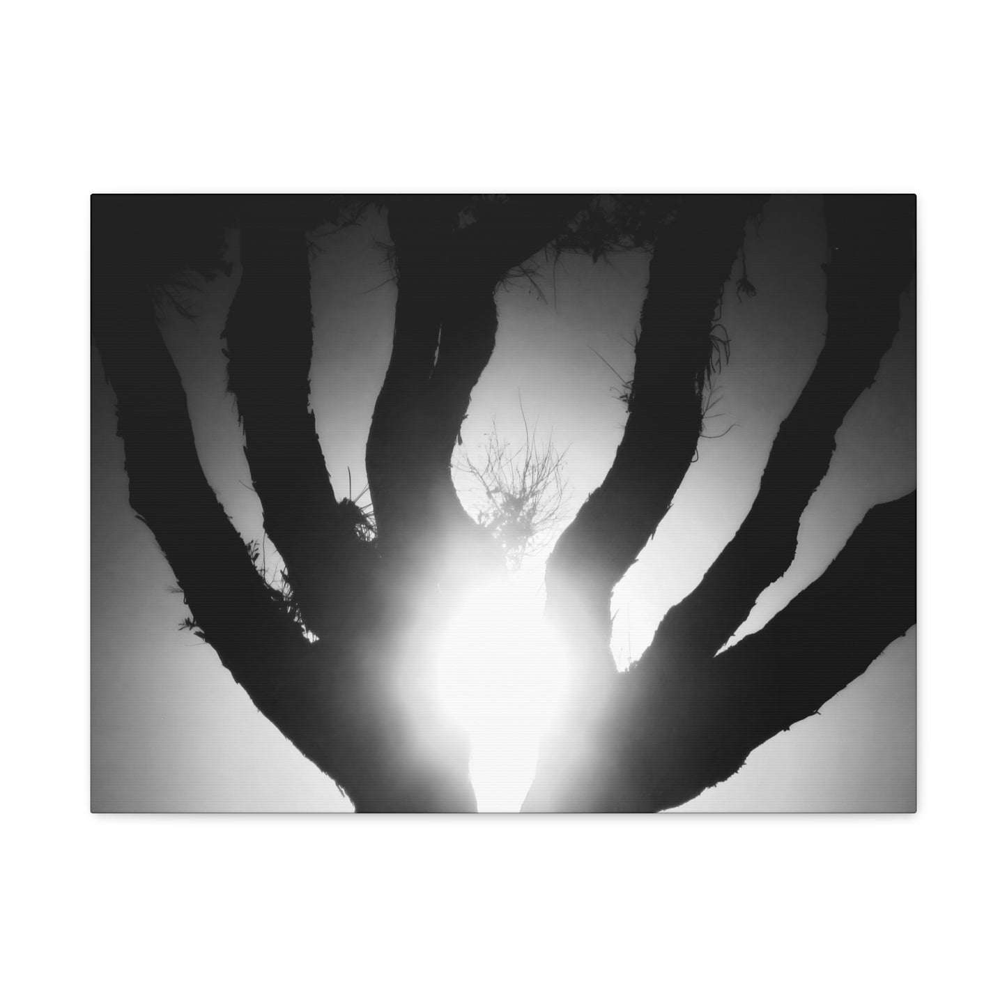 De-Light in the Heart of the Soul - Canvas Photography b/w