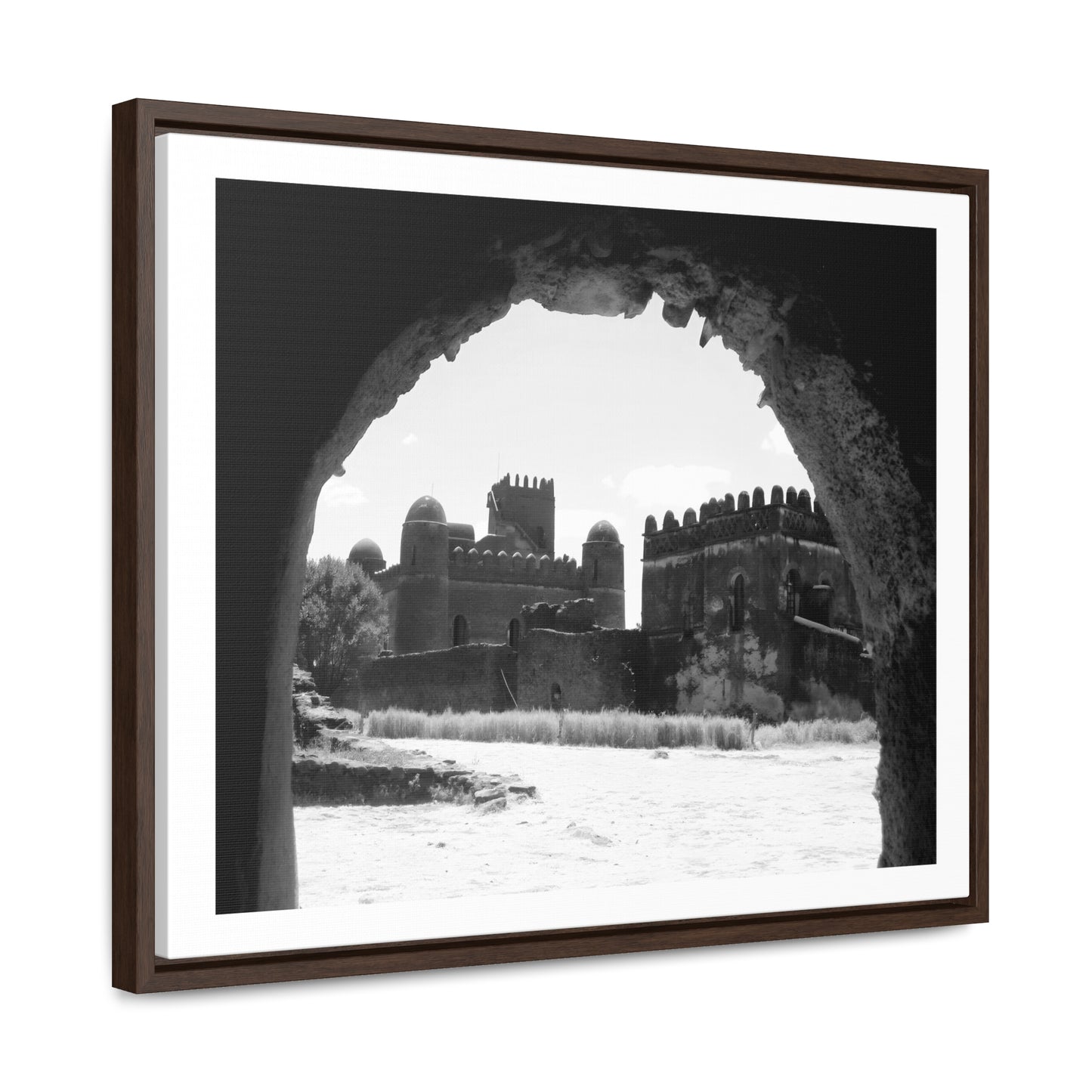 Through the Lion's Jaws - Framed Canvas Photography b&w