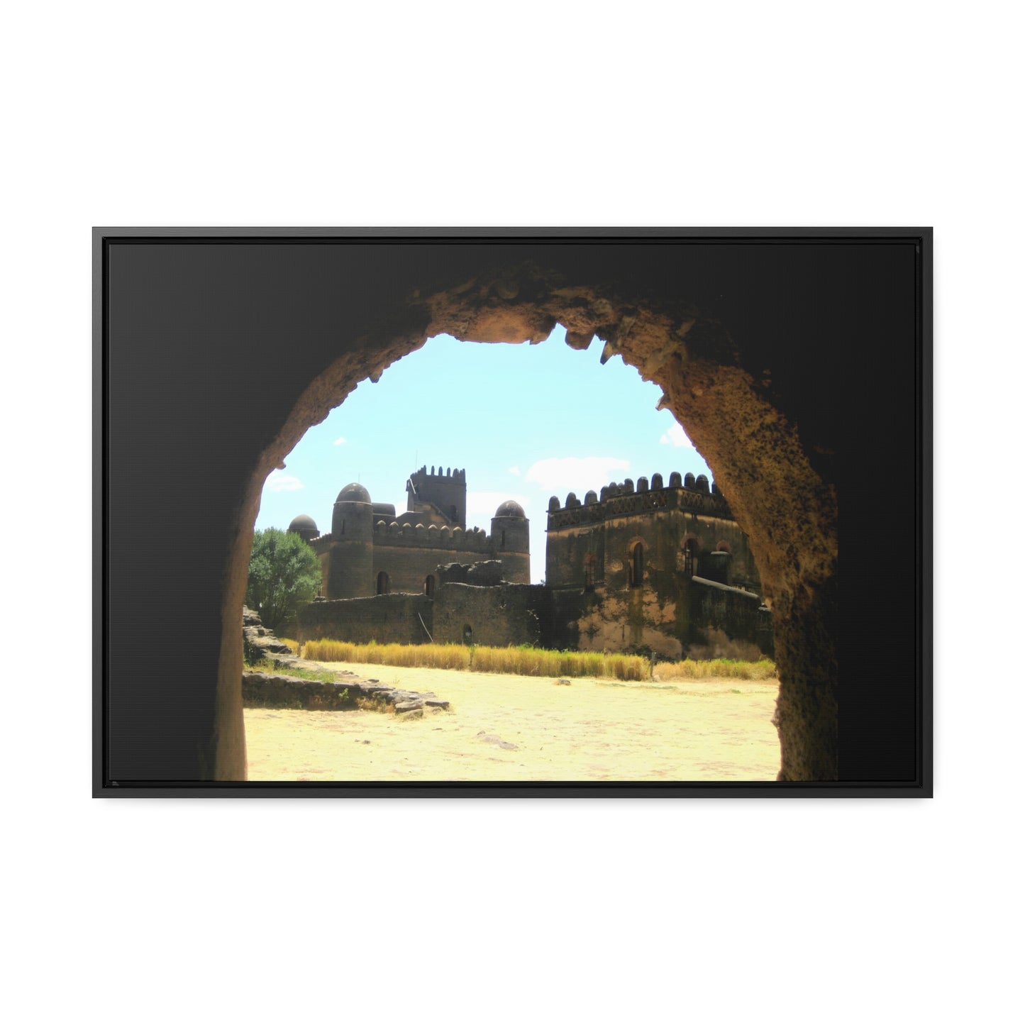 Through the Lion's Jaws - Framed Canvas Photography