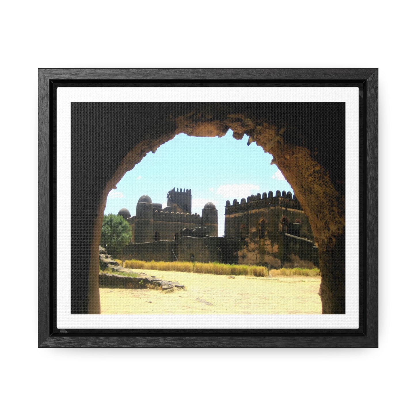Through the Lion's Jaws - Framed Canvas Photography