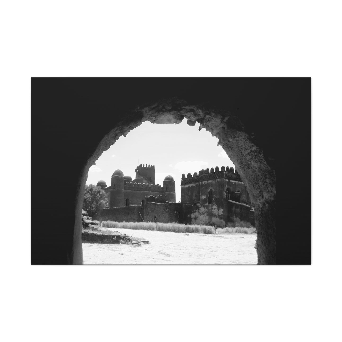 Through the Lion's Jaws - Canvas Photography b&w