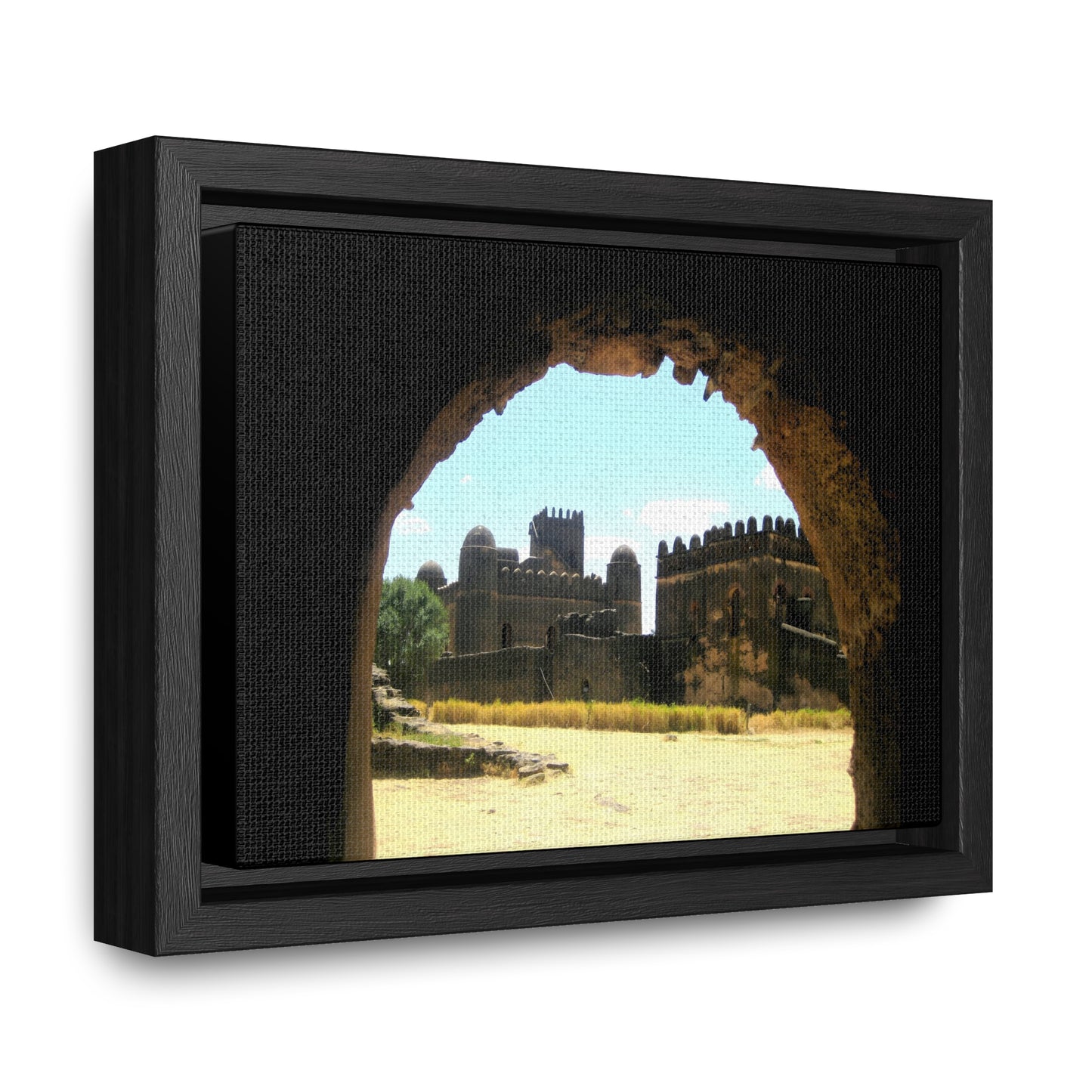 Through the Lion's Jaws - Framed Canvas Photography