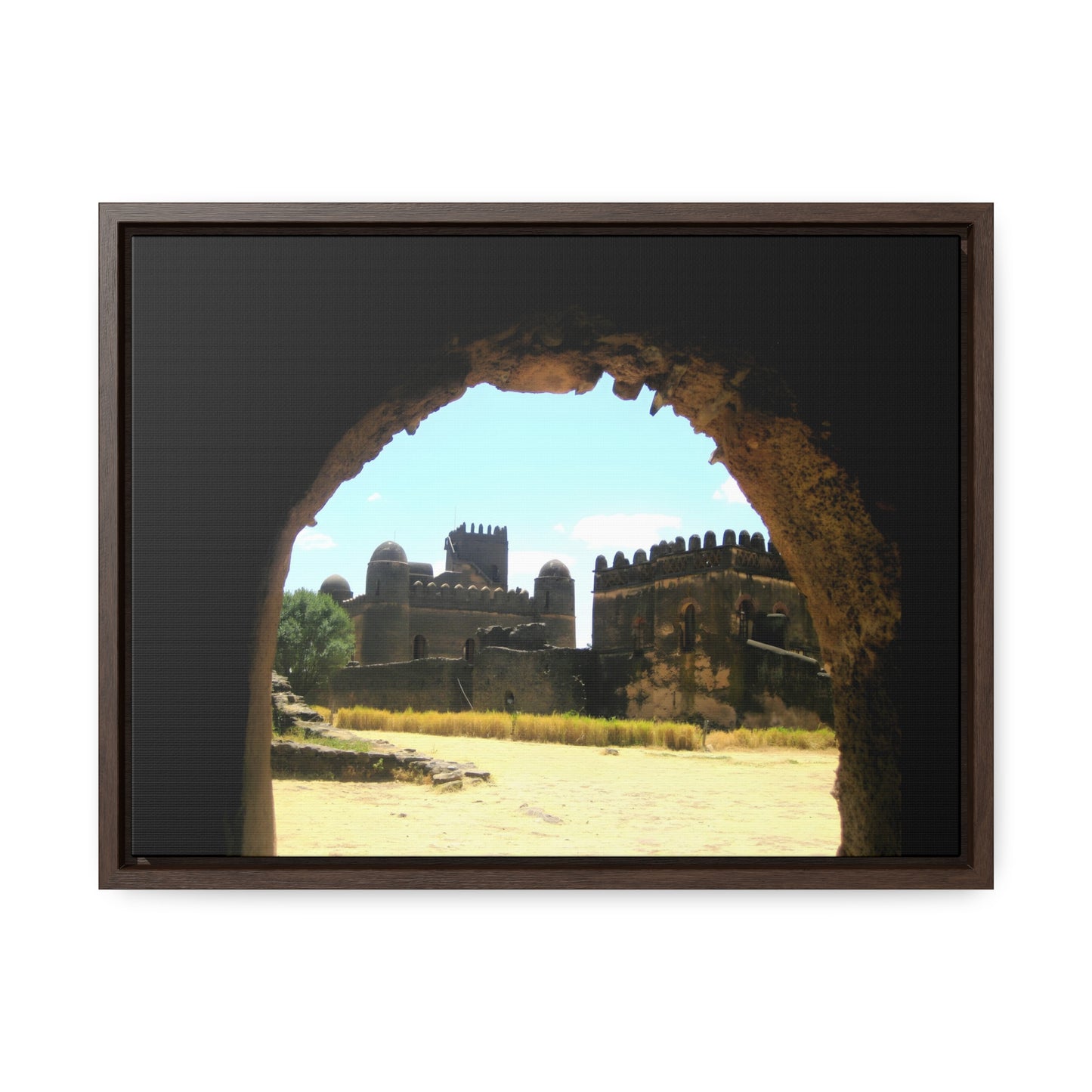 Through the Lion's Jaws - Framed Canvas Photography