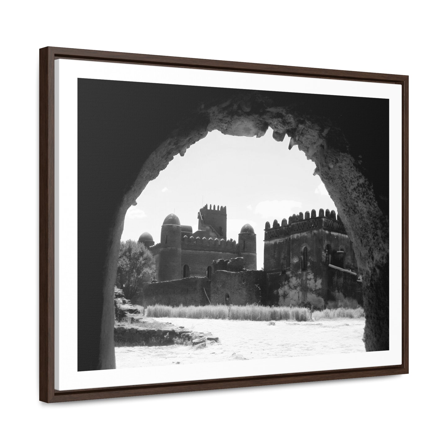 Through the Lion's Jaws - Framed Canvas Photography b&w
