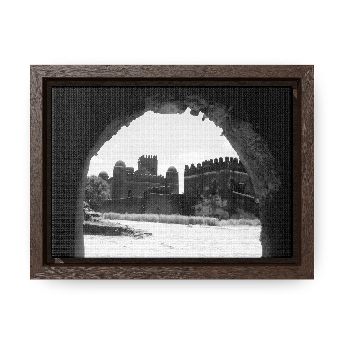 Through the Lion's Jaws - Framed Canvas Photography b&w