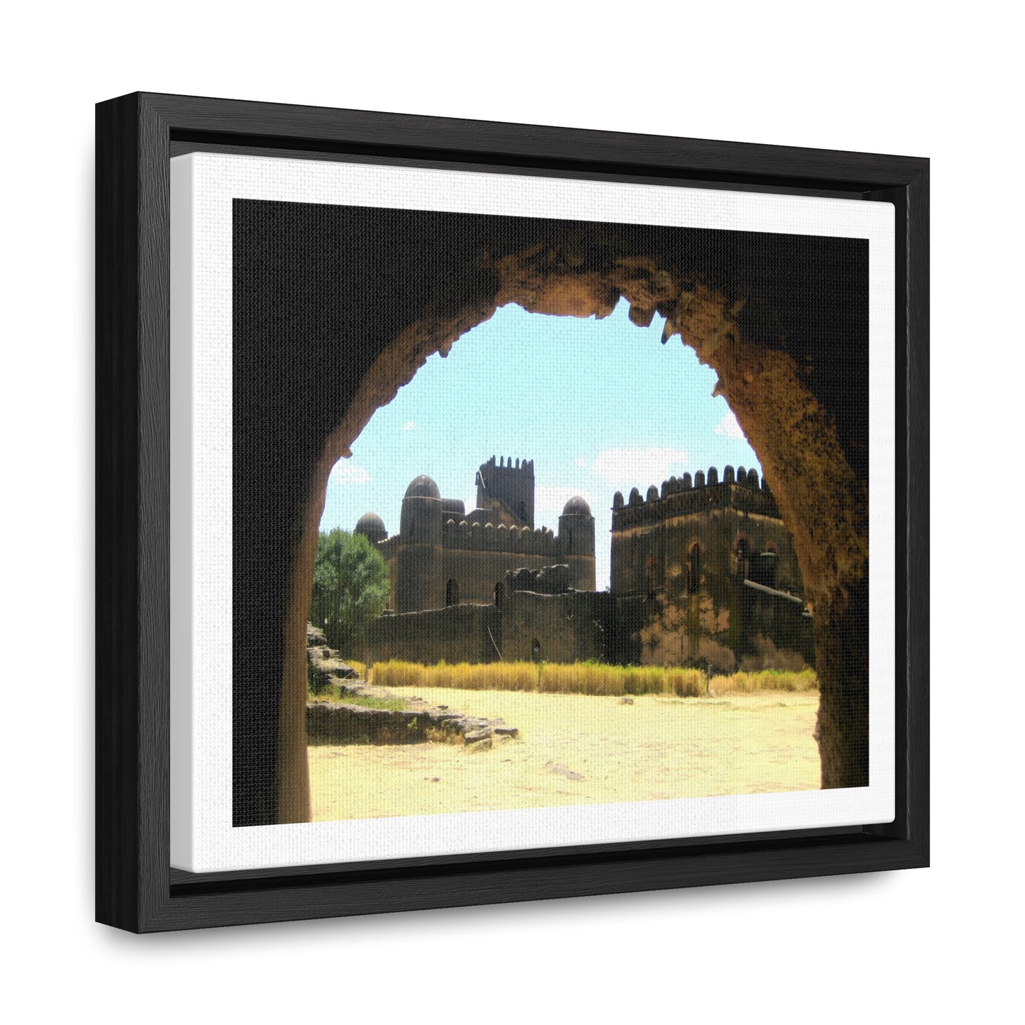 Through the Lion's Jaws - Framed Canvas Photography