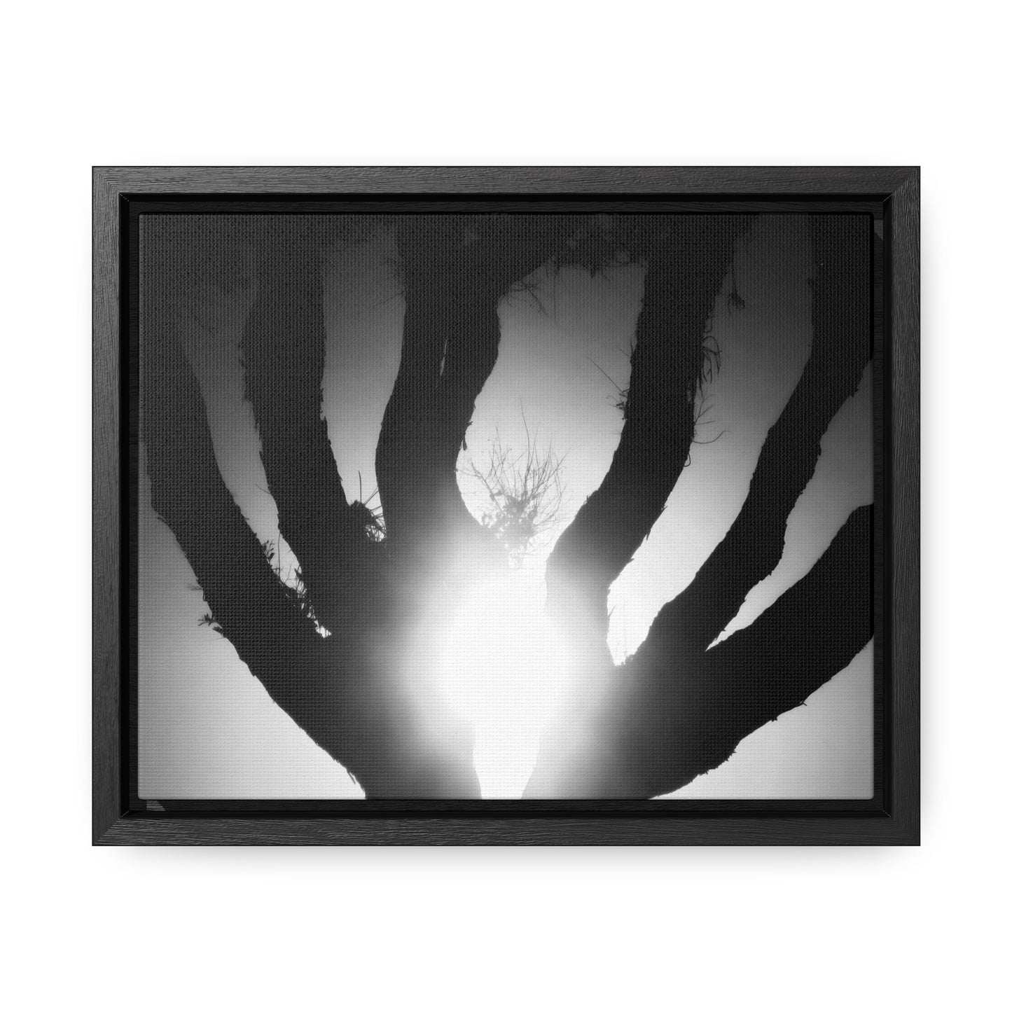 De-Light in the Heart of the Soul - Framed Canvas b&w Photography