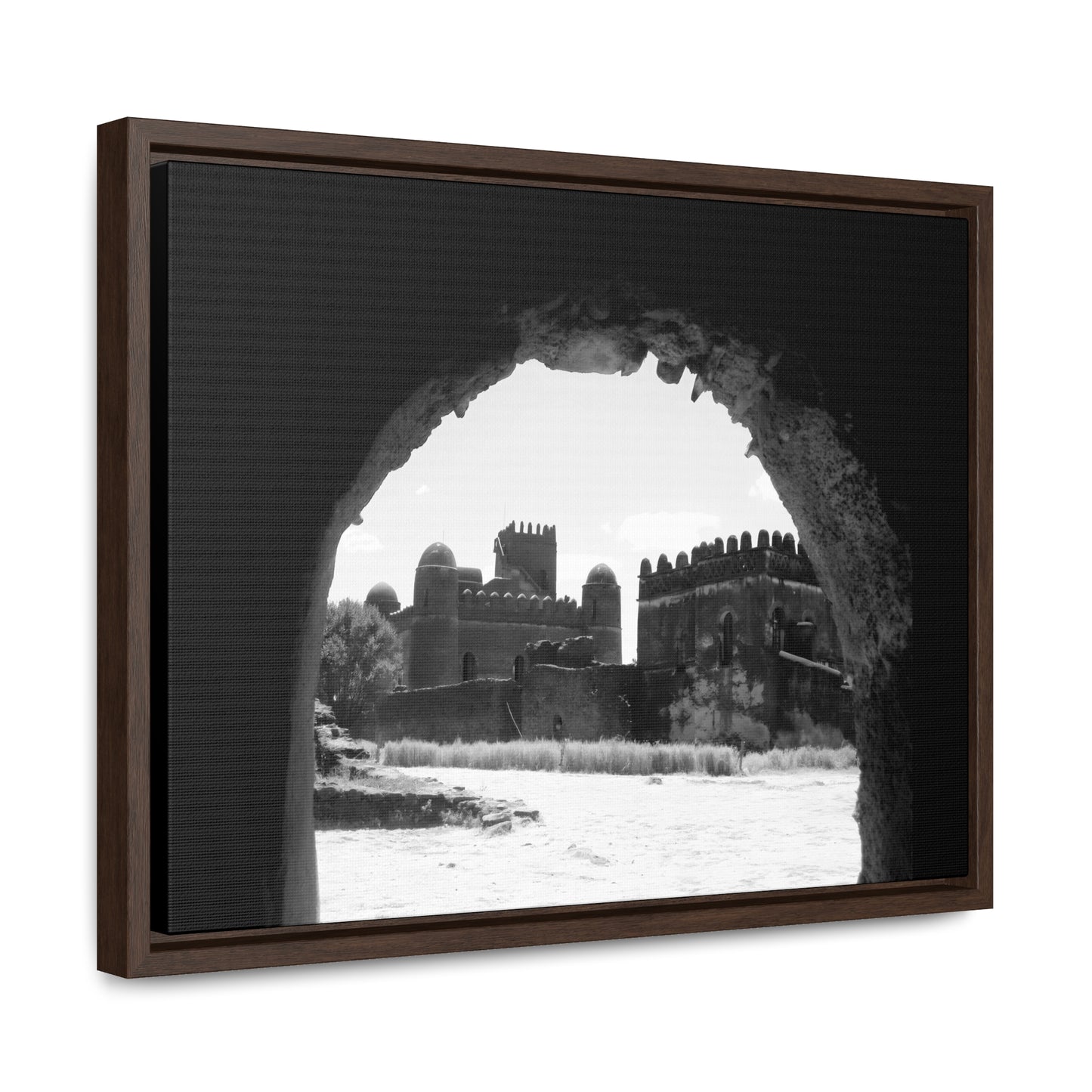 Through the Lion's Jaws - Framed Canvas Photography b&w