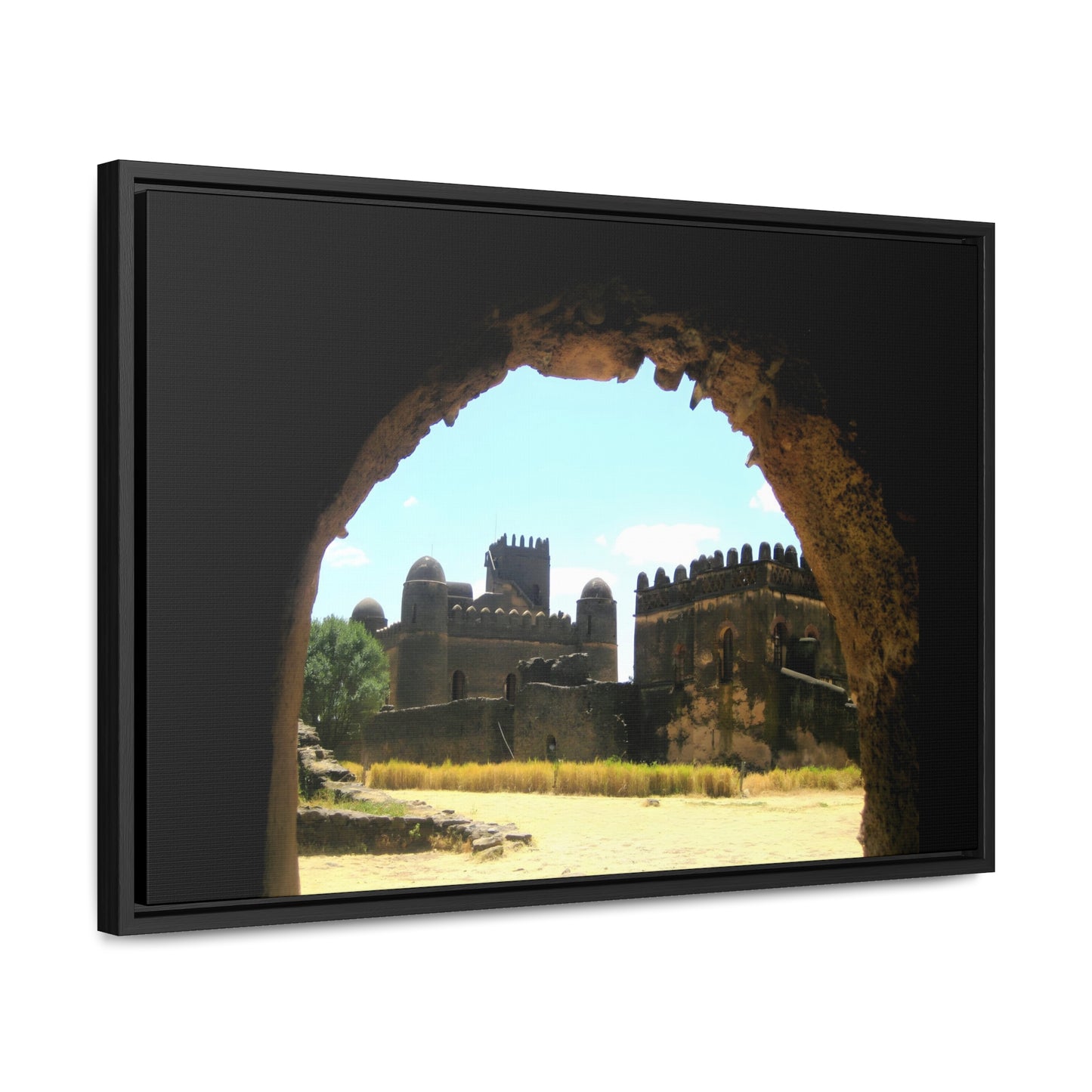 Through the Lion's Jaws - Framed Canvas Photography
