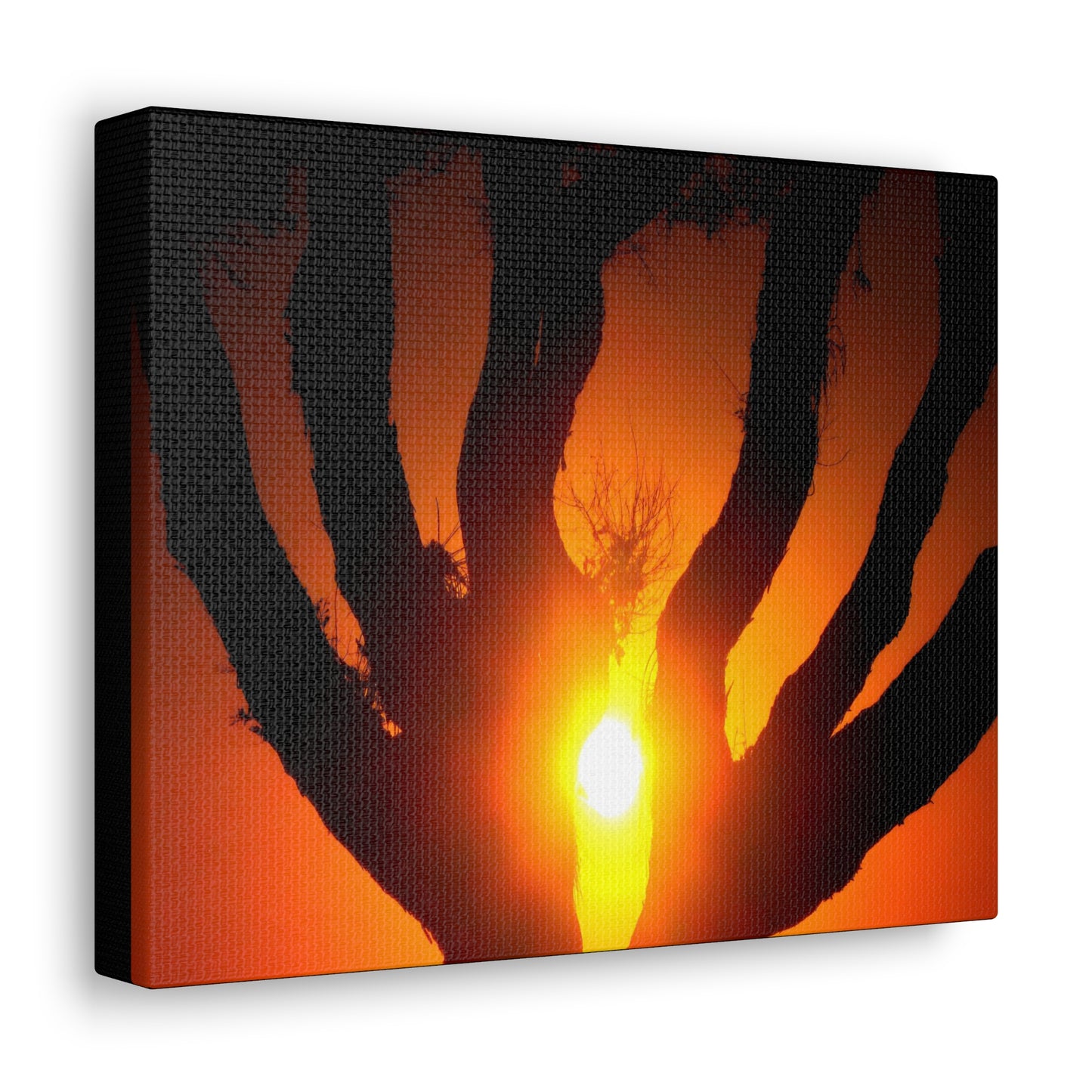 De-Light in the Heart of the Soul - Canvas Photography