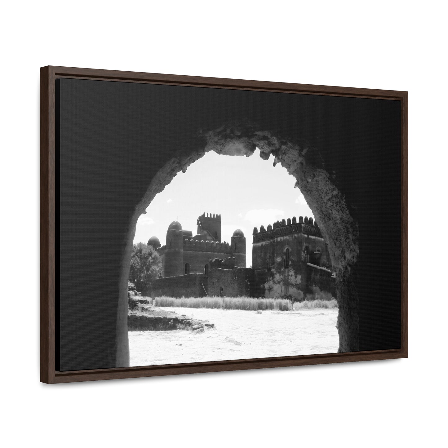 Through the Lion's Jaws - Framed Canvas Photography b&w