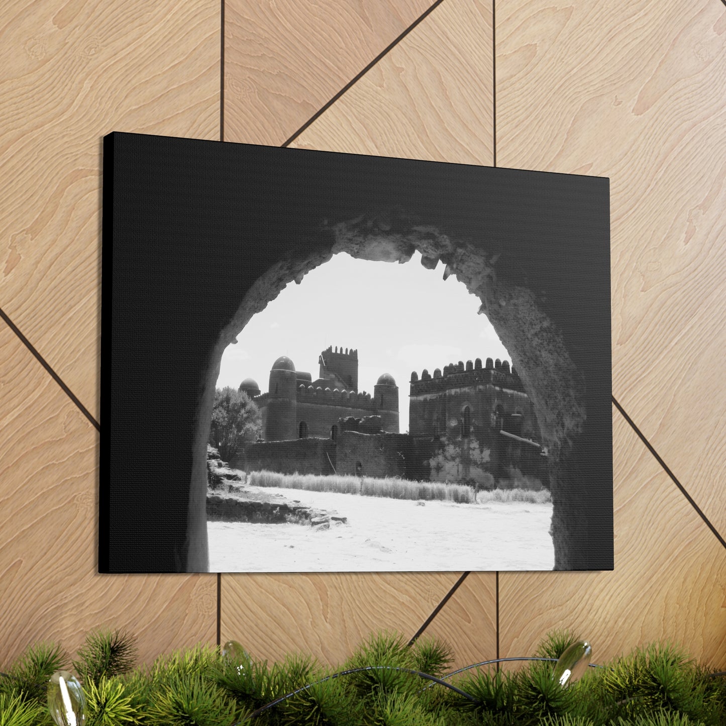 Through the Lion's Jaws - Canvas Photography b&w