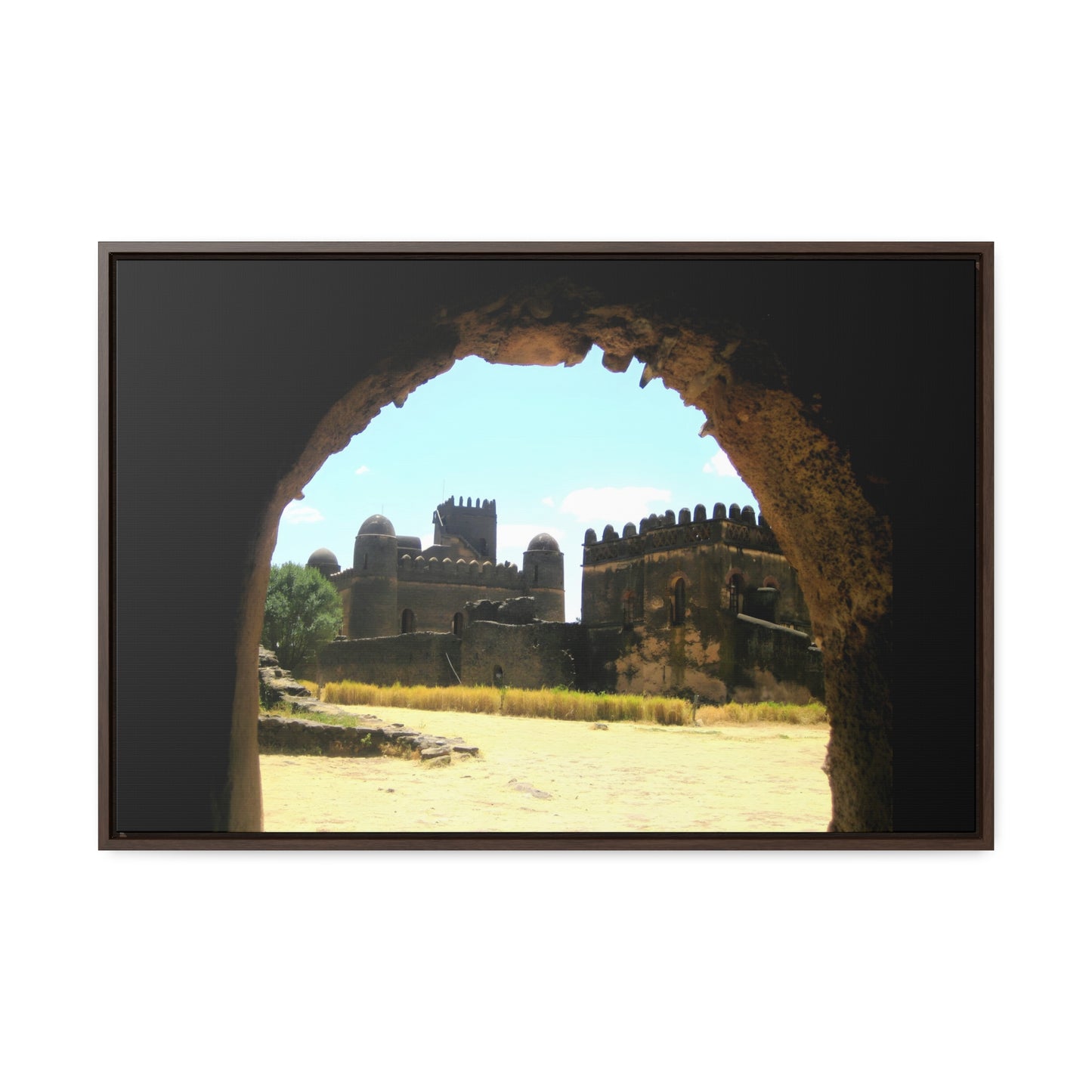 Through the Lion's Jaws - Framed Canvas Photography