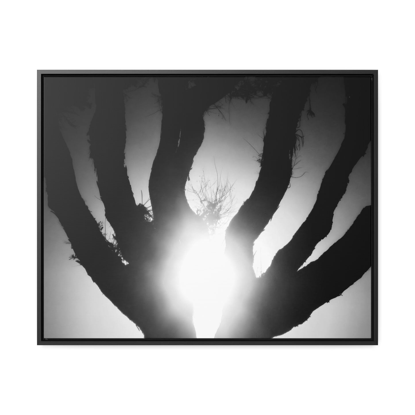 De-Light in the Heart of the Soul - Framed Canvas b&w Photography