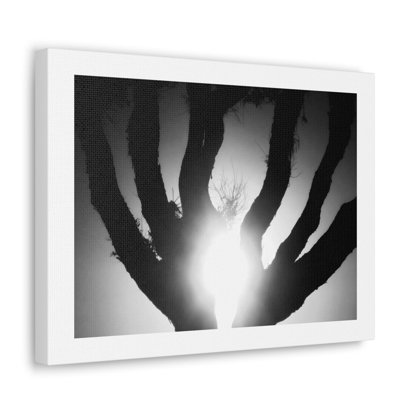 De-Light in the Heart of the Soul - Canvas Photography b/w