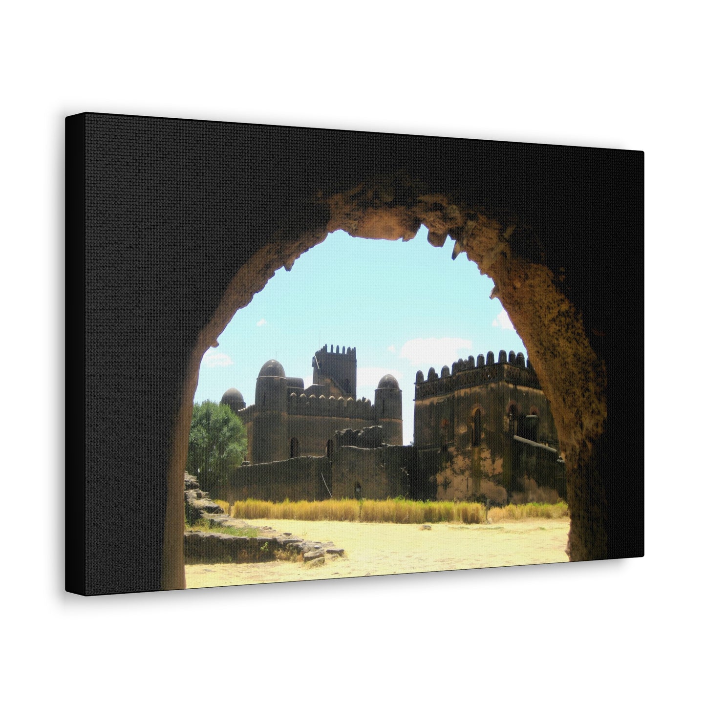 Through the Lion's Jaws - Canvas Photography