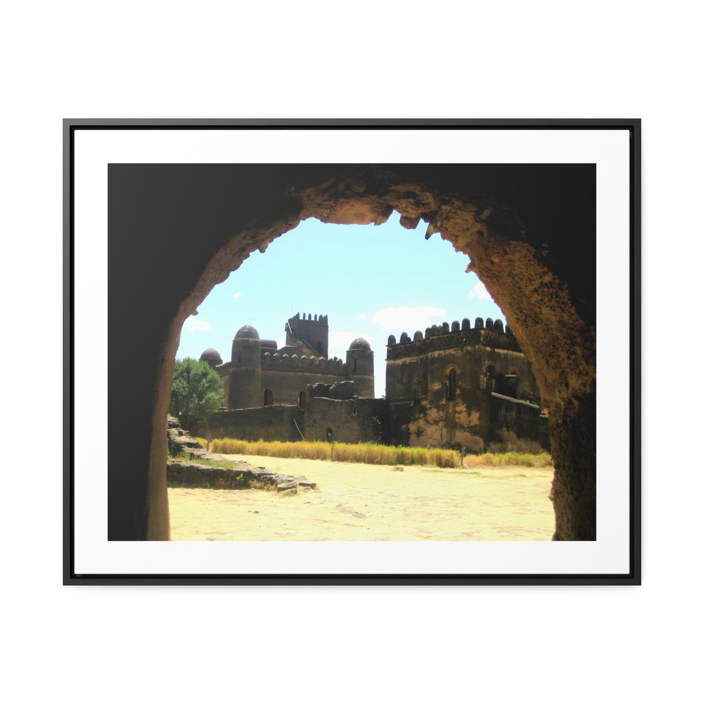 Through the Lion's Jaws - Framed Canvas Photography