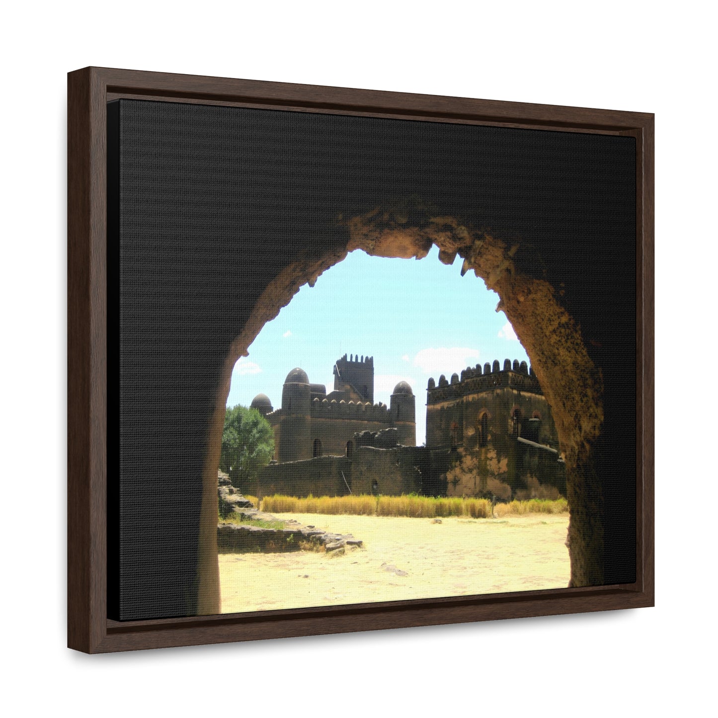 Through the Lion's Jaws - Framed Canvas Photography