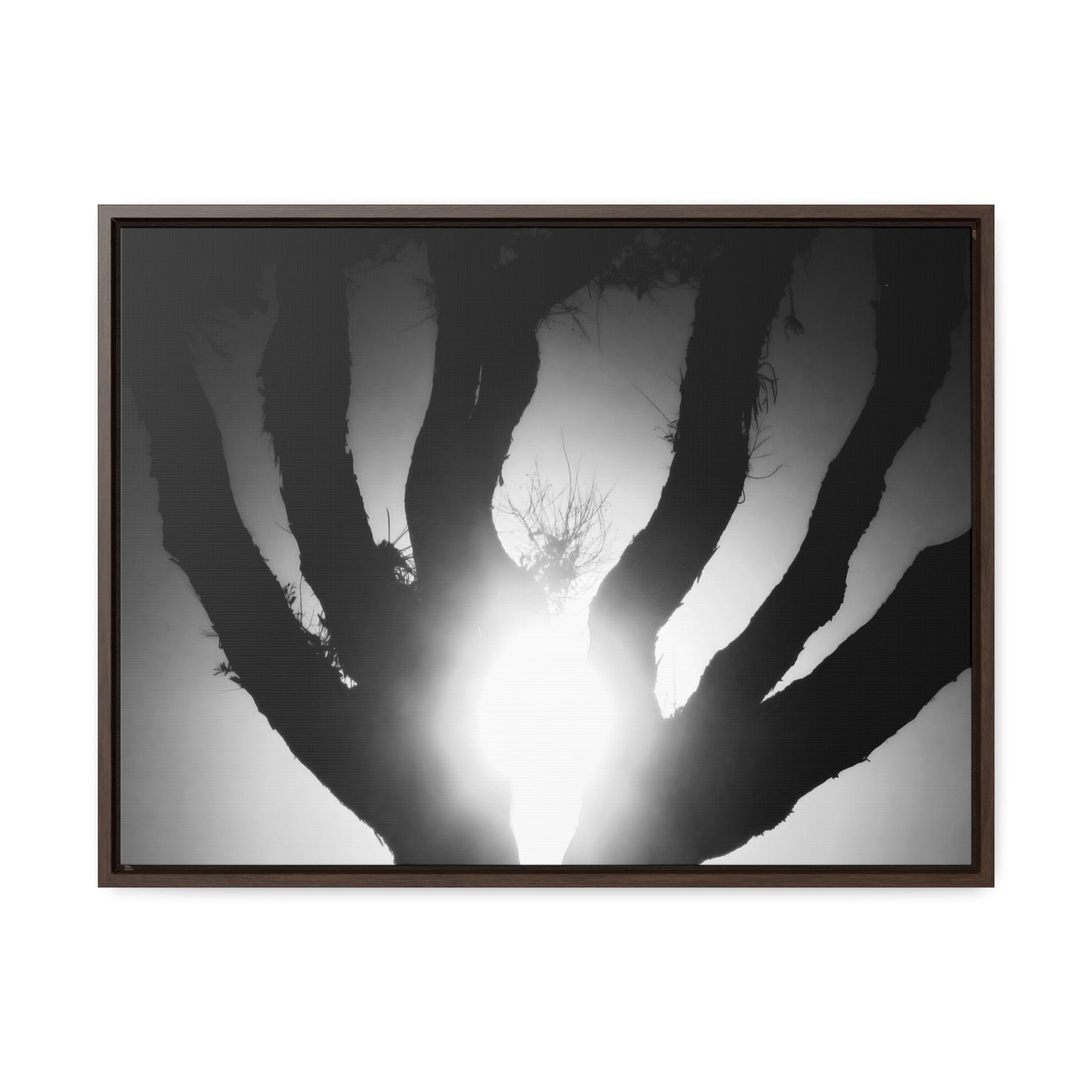 De-Light in the Heart of the Soul - Framed Canvas b&w Photography