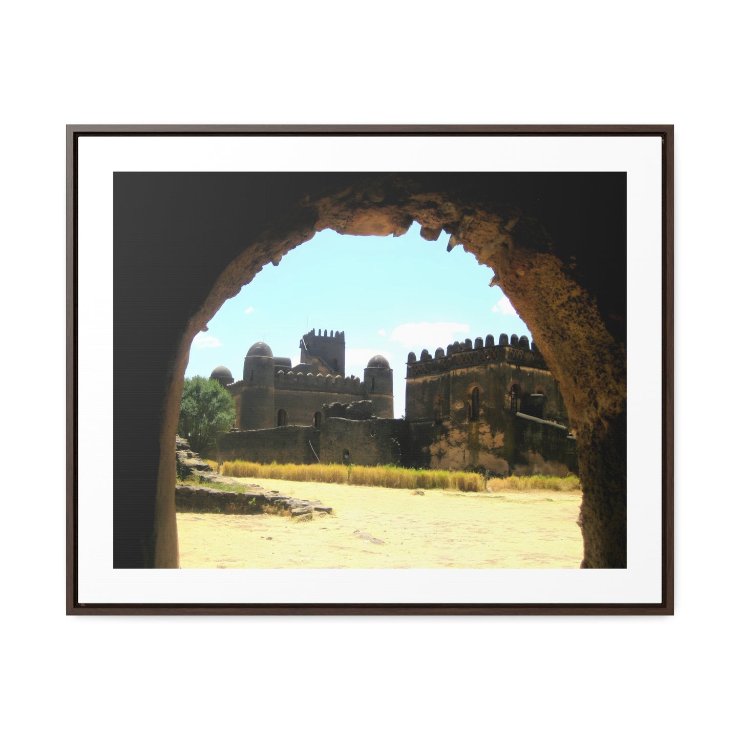 Through the Lion's Jaws - Framed Canvas Photography