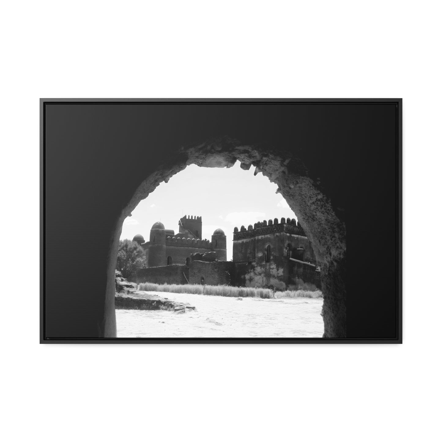 Through the Lion's Jaws - Framed Canvas Photography b&w