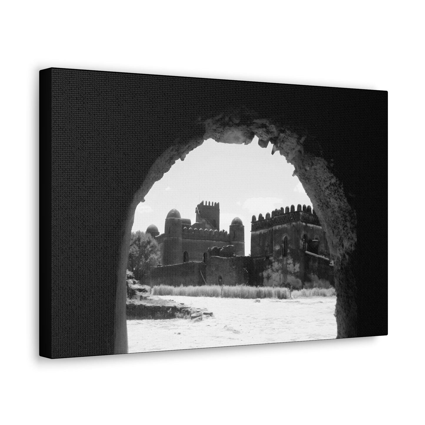 Through the Lion's Jaws - Canvas Photography b&w