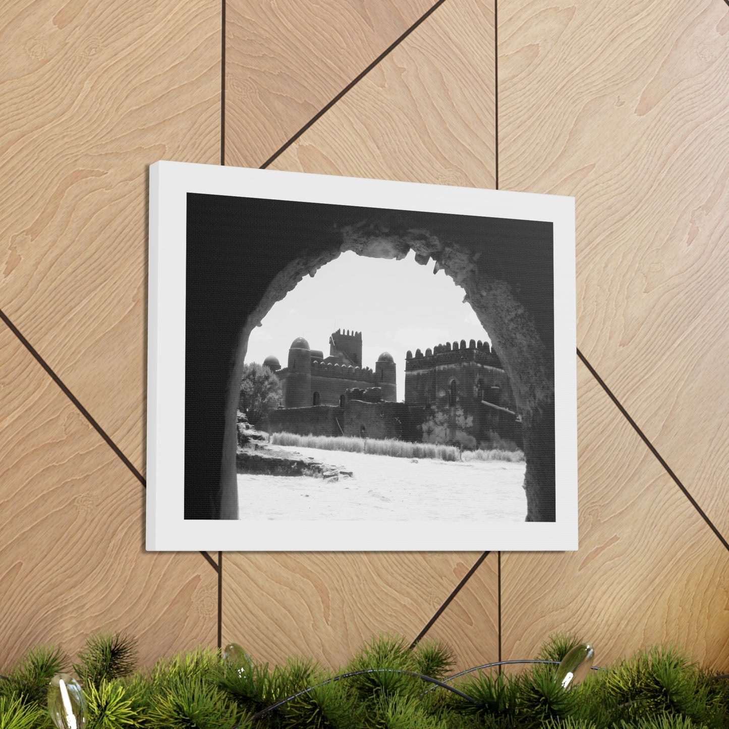 Through the Lion's Jaws - Canvas Photography b&w
