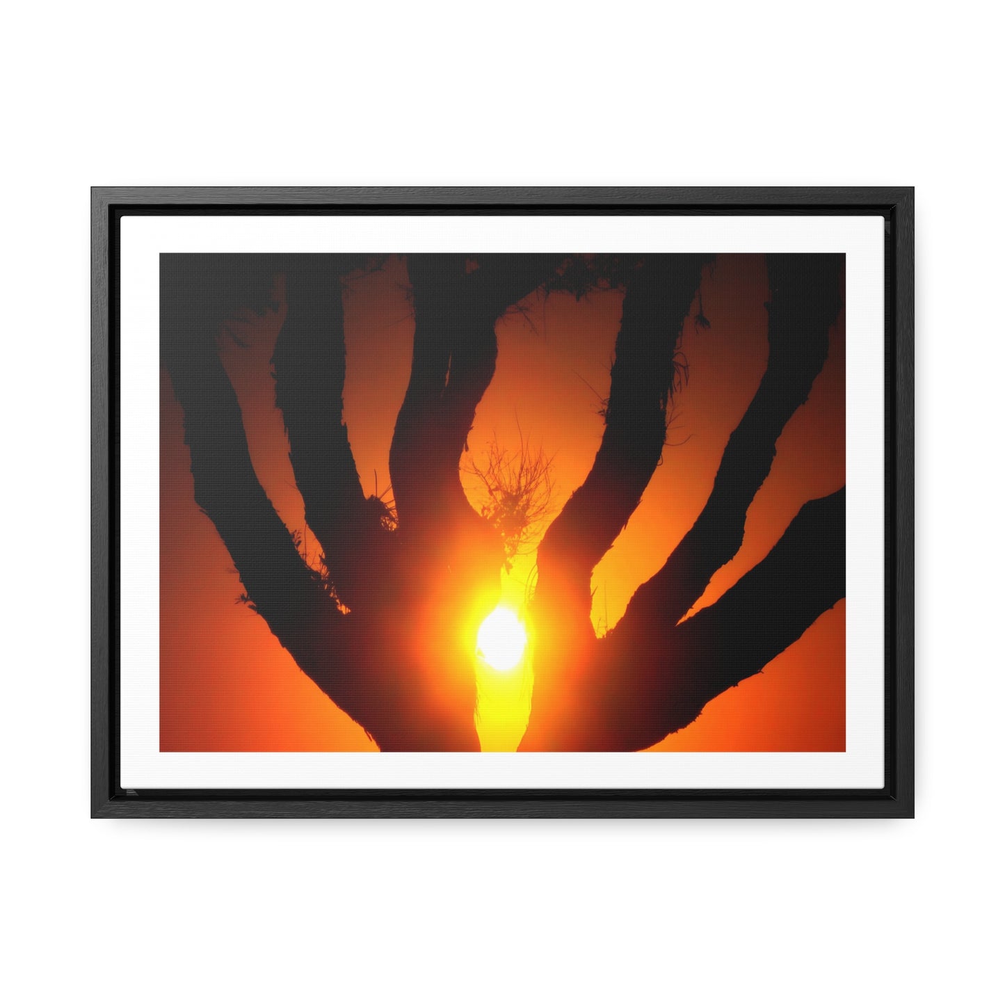 De-Light in the Heart of the Soul - Framed Canvas Photography