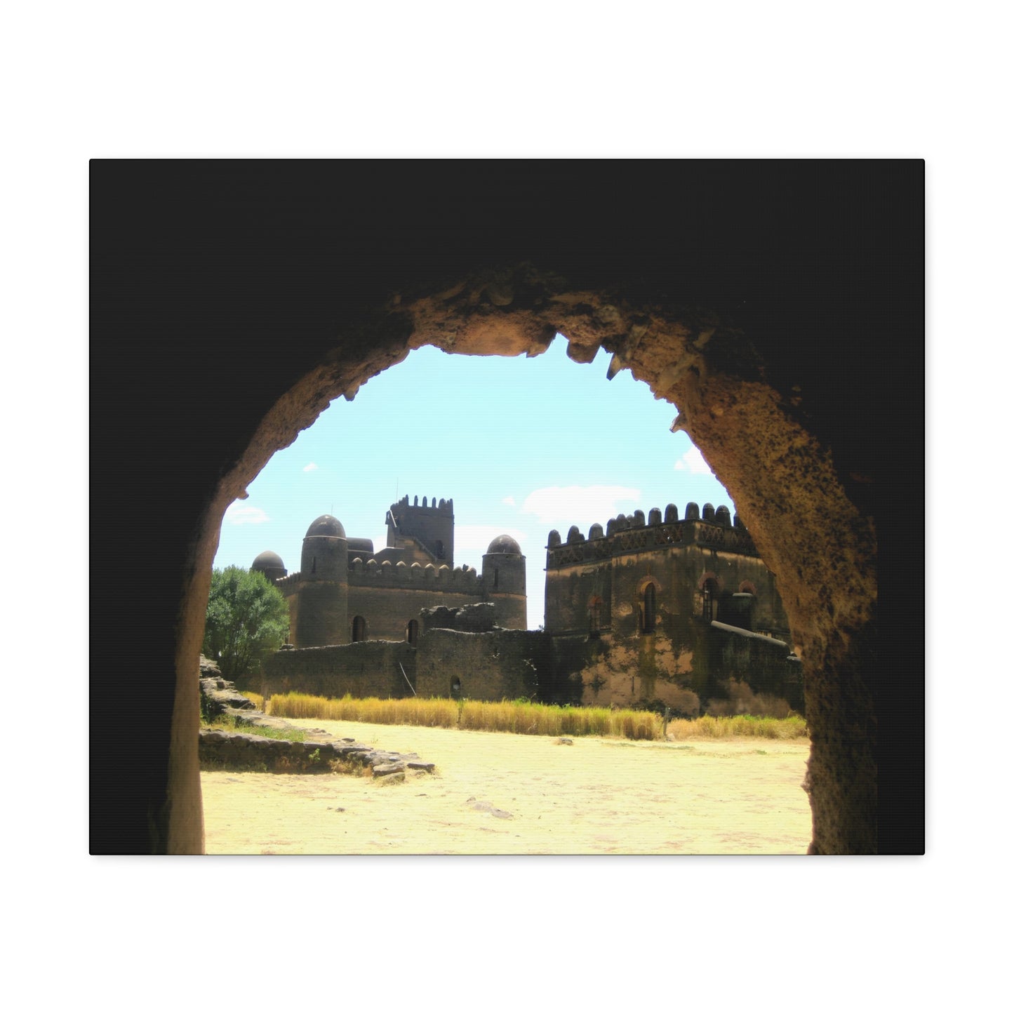 Through the Lion's Jaws - Canvas Photography
