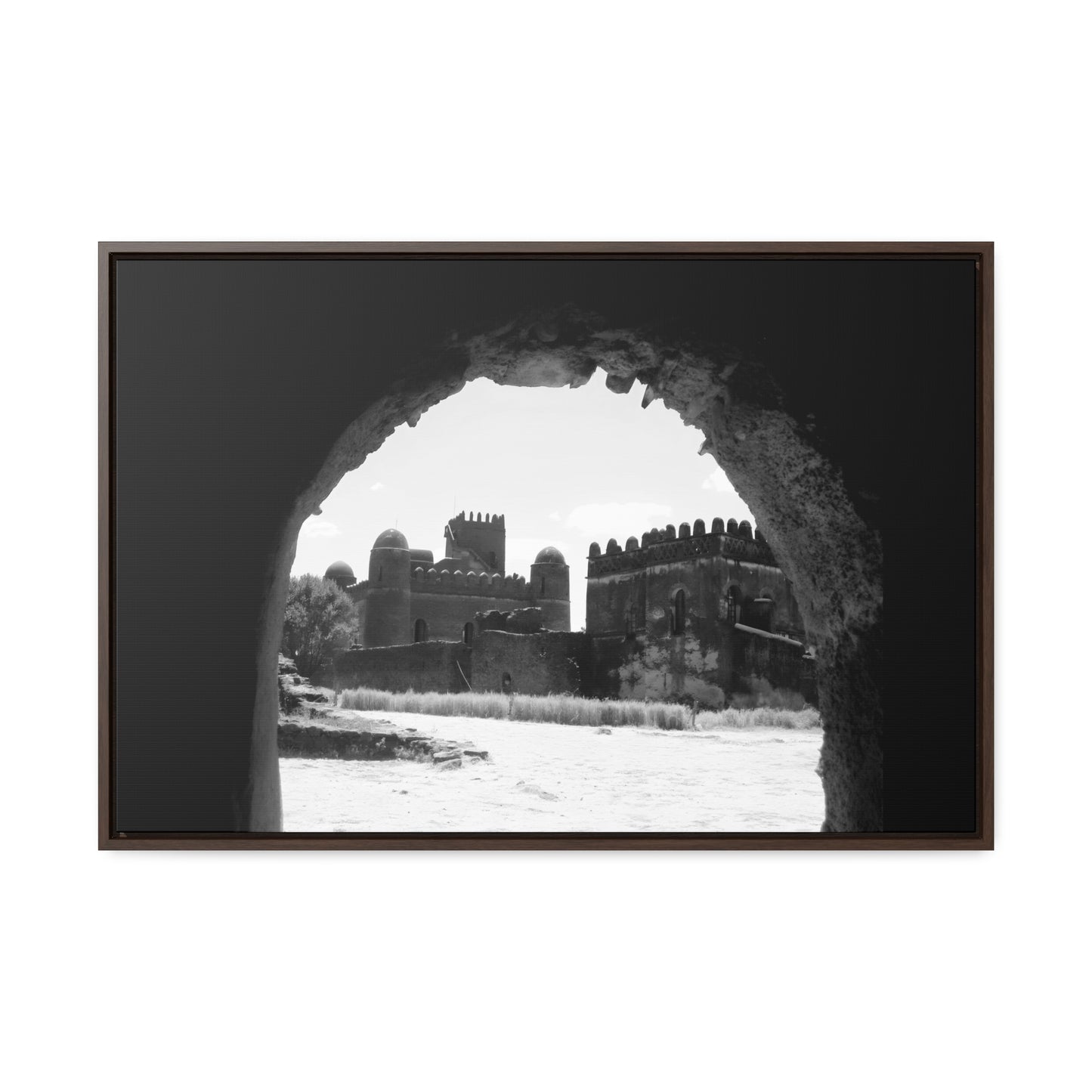 Through the Lion's Jaws - Framed Canvas Photography b&w