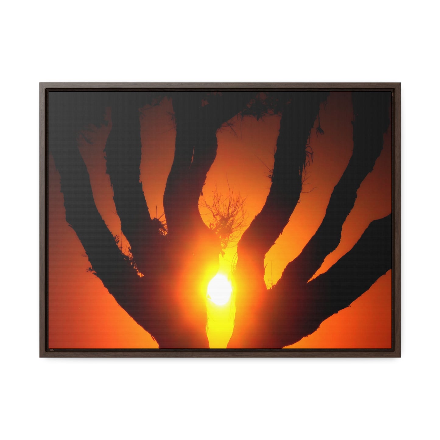 De-Light in the Heart of the Soul - Framed Canvas Photography