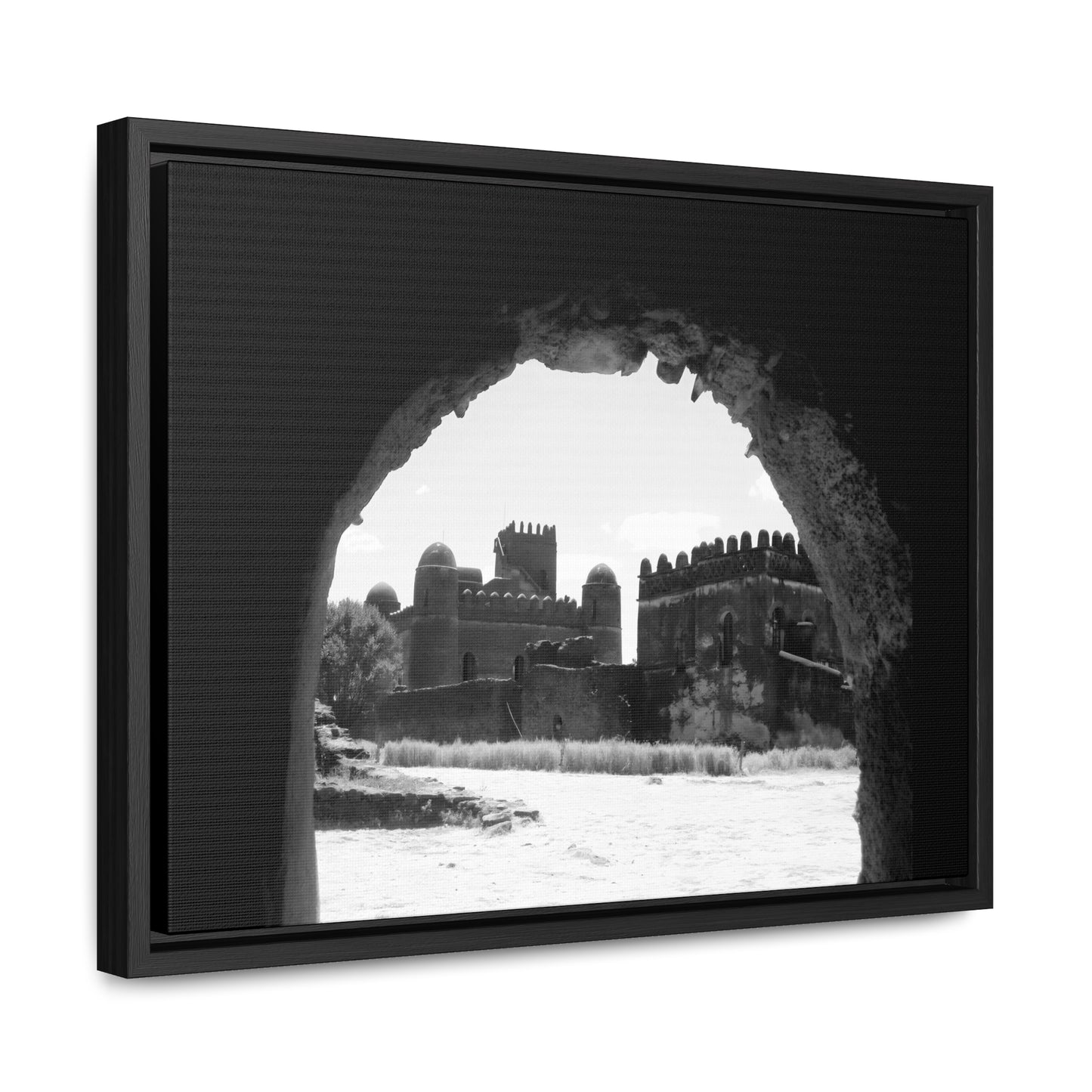 Through the Lion's Jaws - Framed Canvas Photography b&w