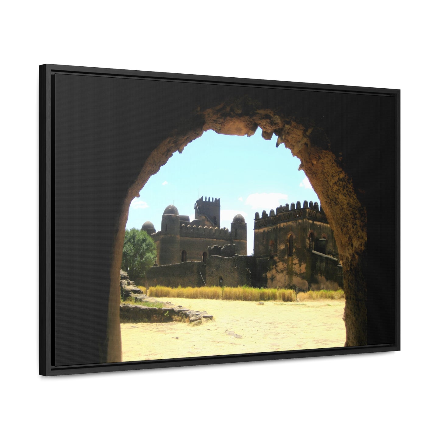 Through the Lion's Jaws - Framed Canvas Photography