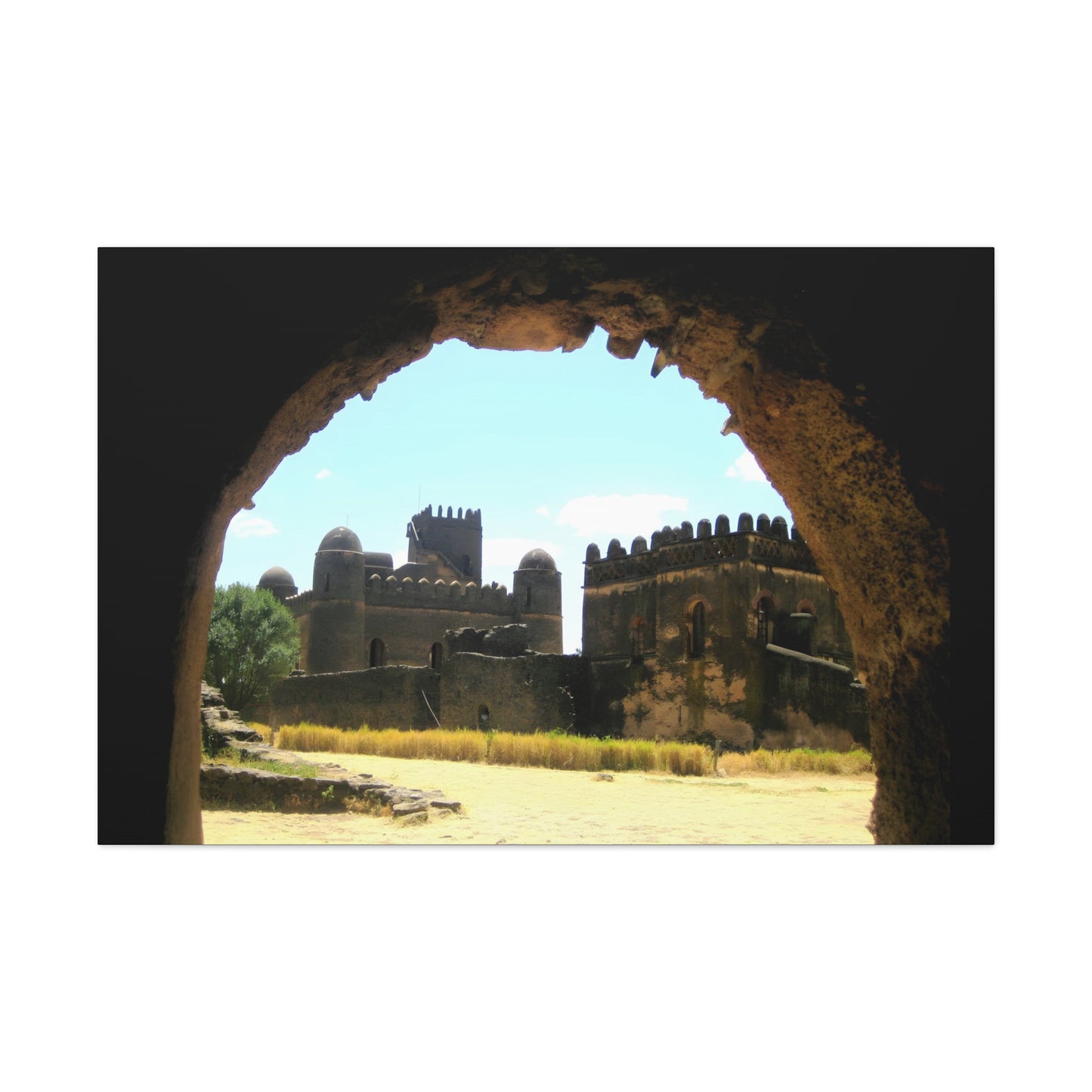 Through the Lion's Jaws - Canvas Photography