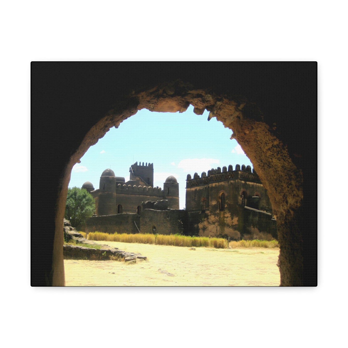 Through the Lion's Jaws - Canvas Photography
