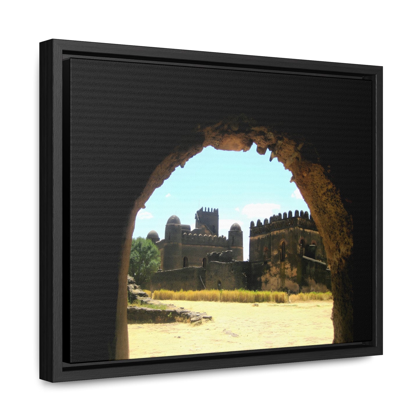 Through the Lion's Jaws - Framed Canvas Photography