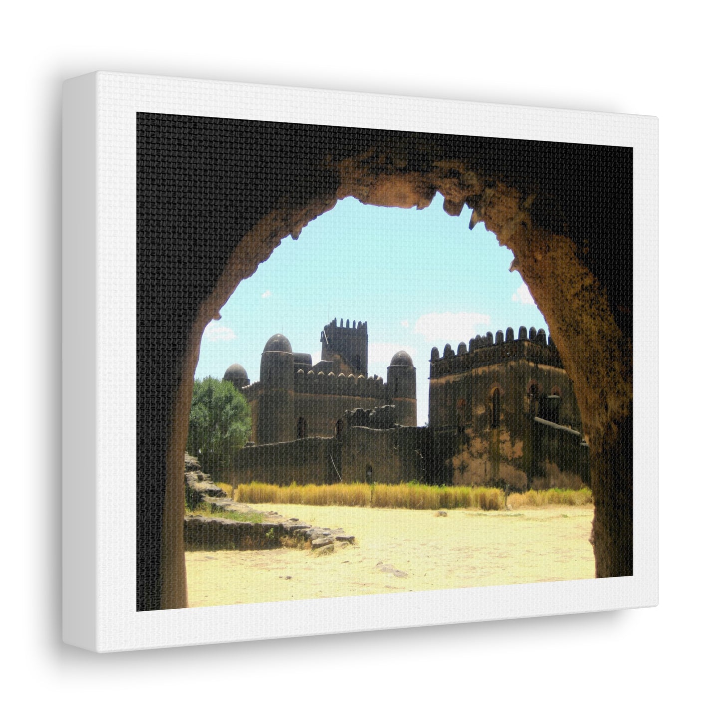 Through the Lion's Jaws - Canvas Photography