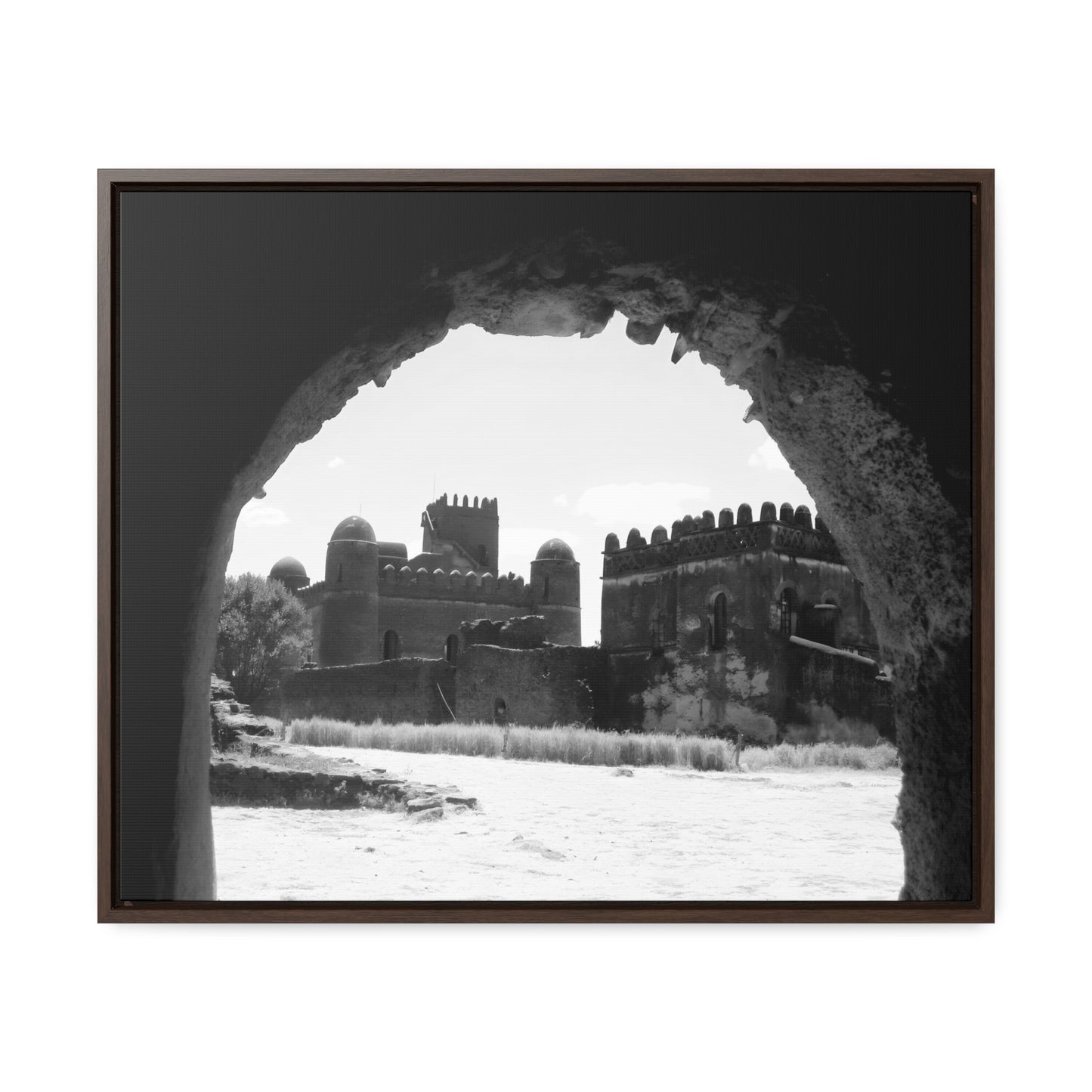 Through the Lion's Jaws - Framed Canvas Photography b&w