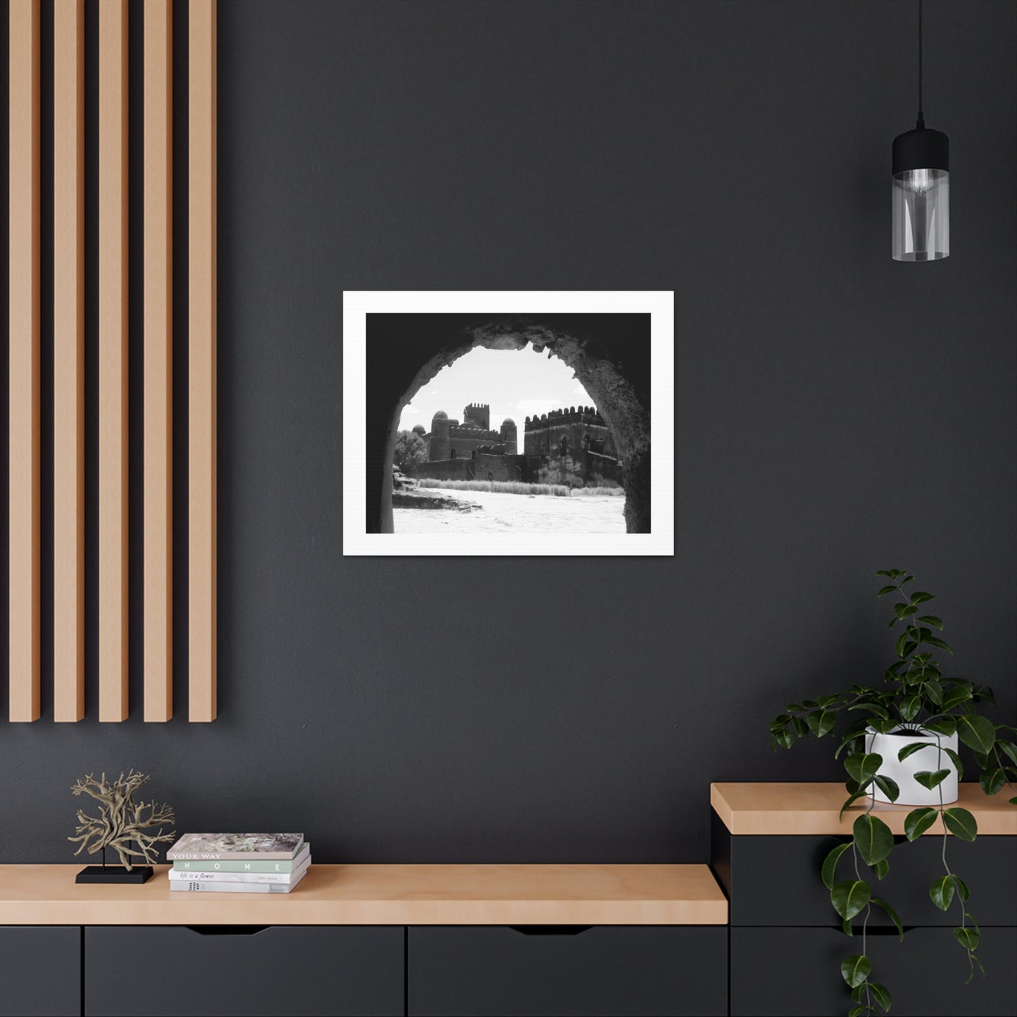 Through the Lion's Jaws - Canvas Photography b&w